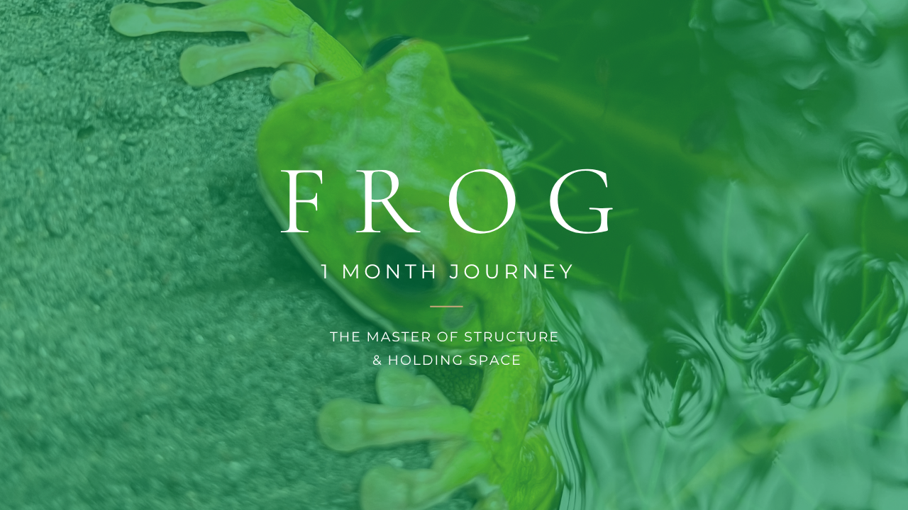 Frog Kajabi Course Artwork 1280 x 720 px (3).png