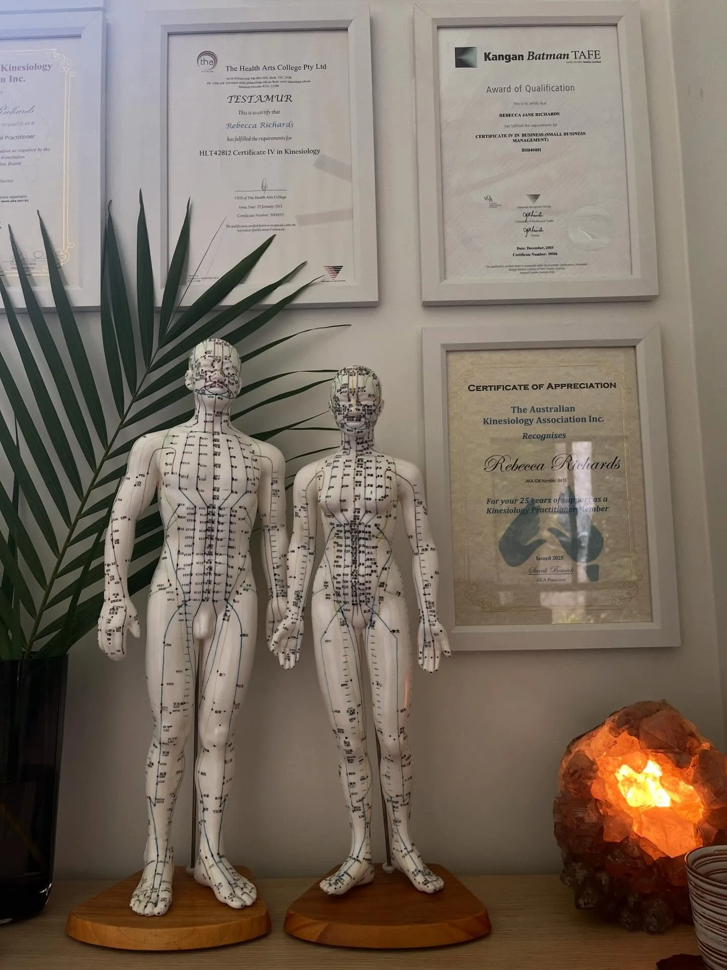 Studio views ~ 2026 is in full swing, clinic is fully booked for a couple of weeks and lots of new faces are coming through the doors. Word of mouth is still my number 1 marketing! Thank you to everyone who recommends working with me, I see you 😊