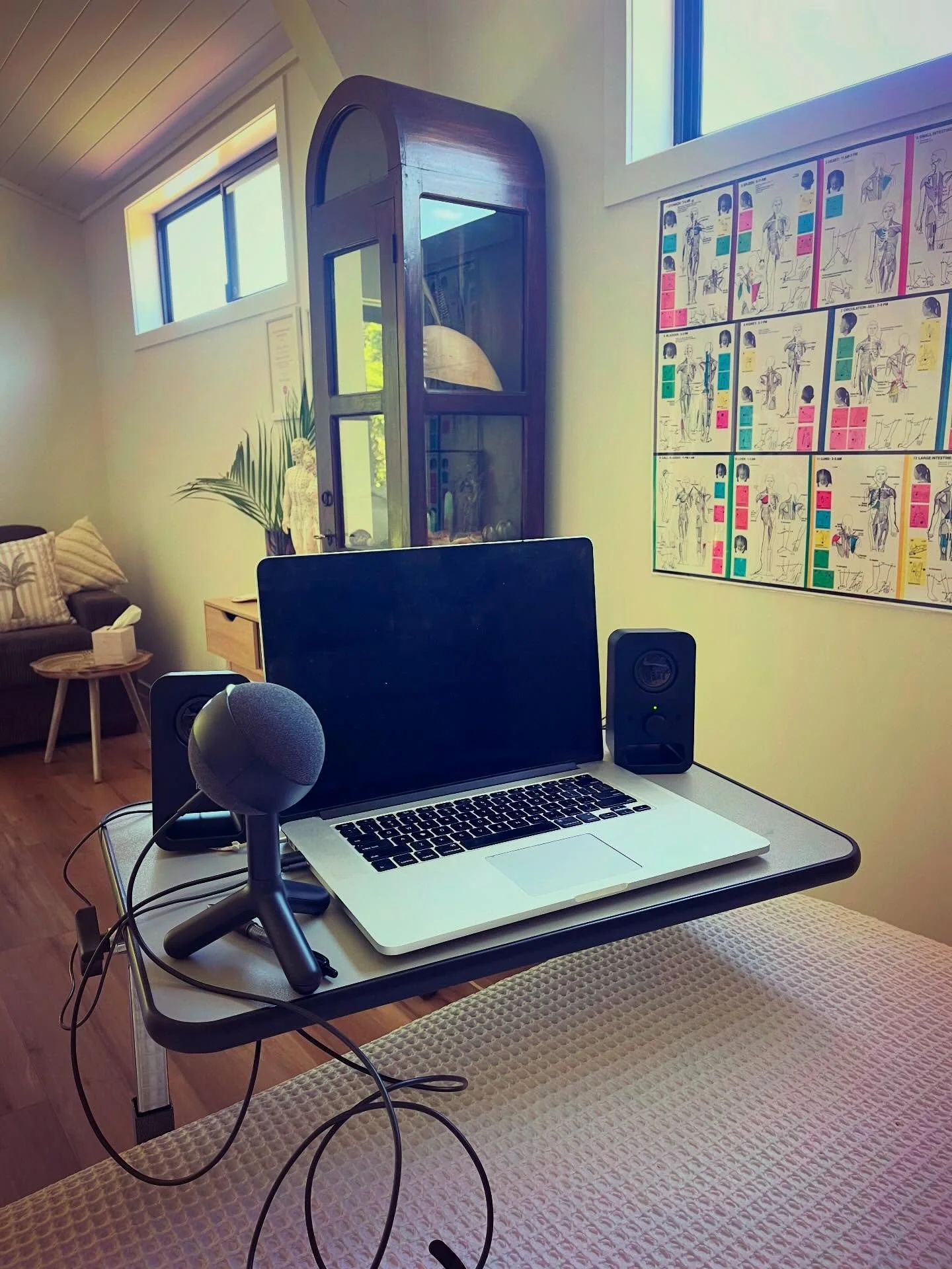 Studio views ~ Life in my studio looks a bit like this this week. Clients range from Melbourne to Sunshine Coast Qld to England to the Whitsundays. They also range from brand new clients to one being a client that has worked with me since I began 26 