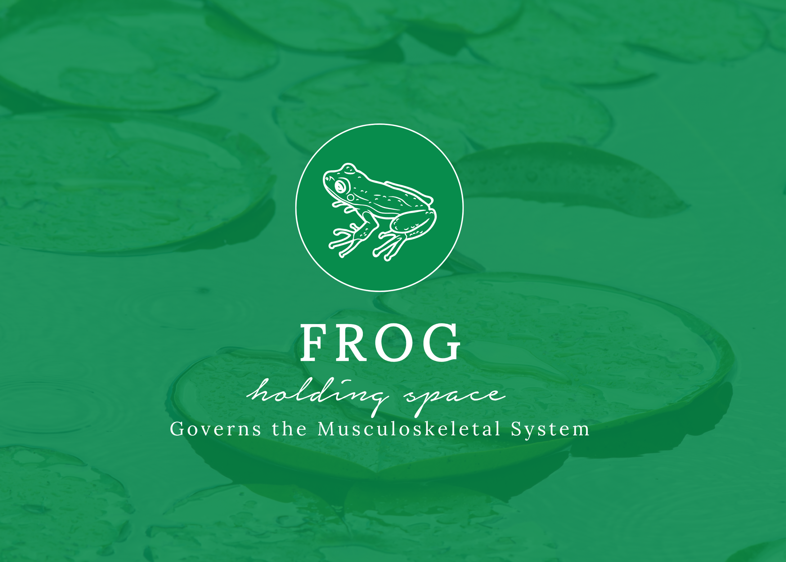 Website Header Frog.png