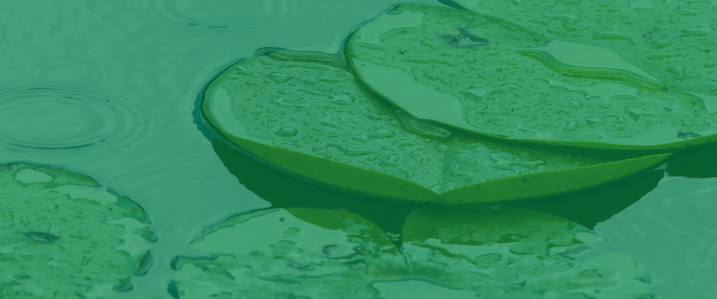 Kajabi Course Header Image (Course Name) (3).png