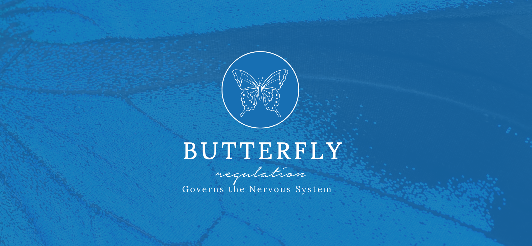 Butterfly Website Banner 3.png