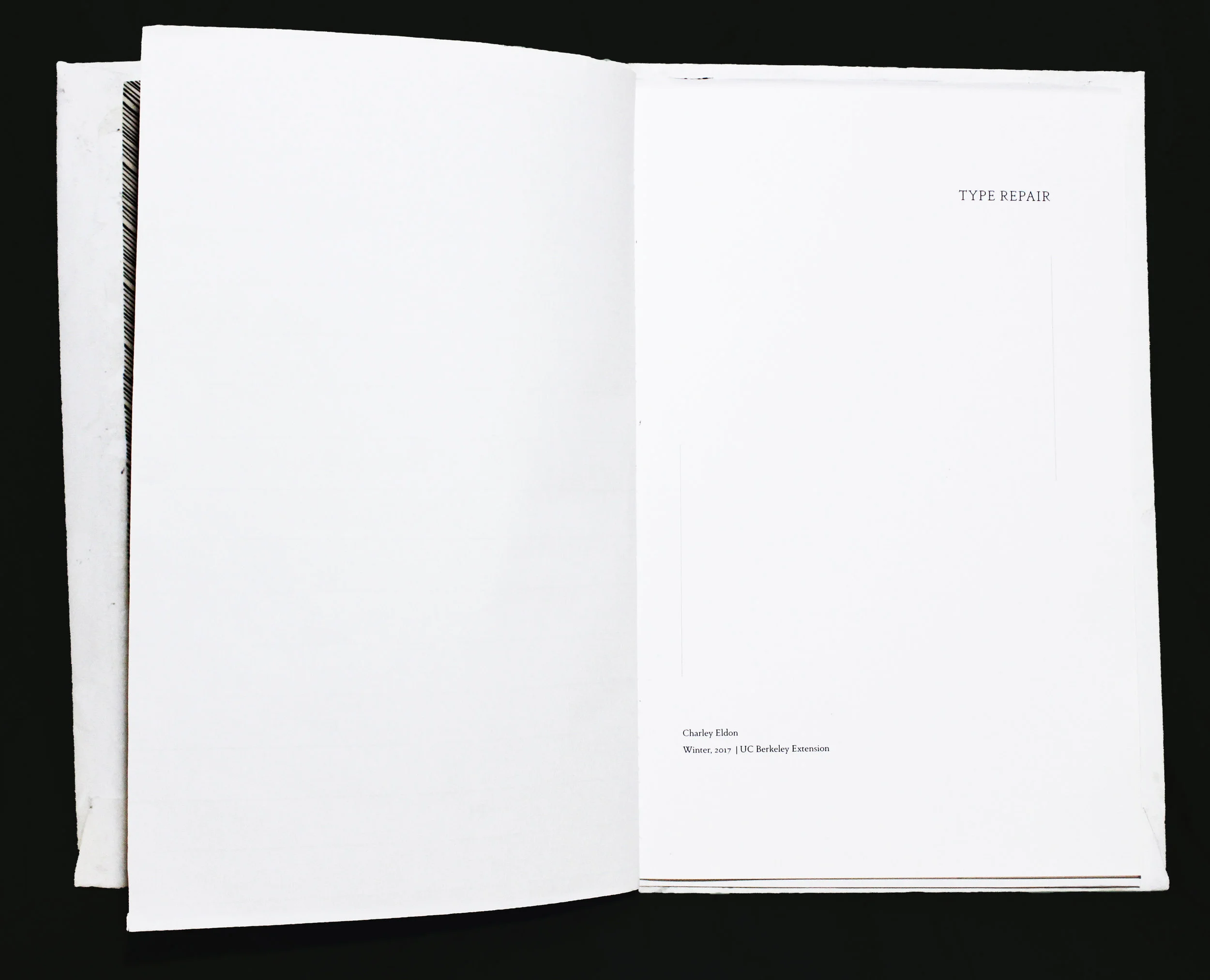 book title repair copy.jpg