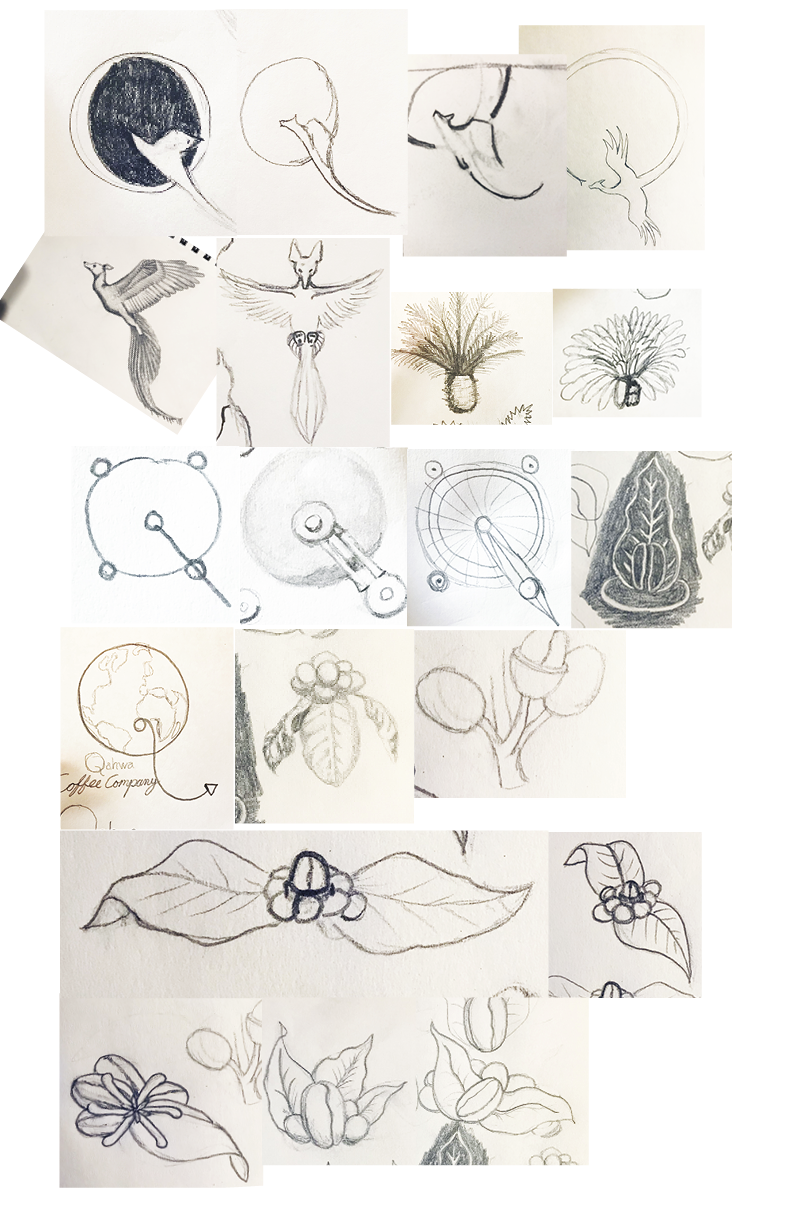 qahwa sketches one page.png