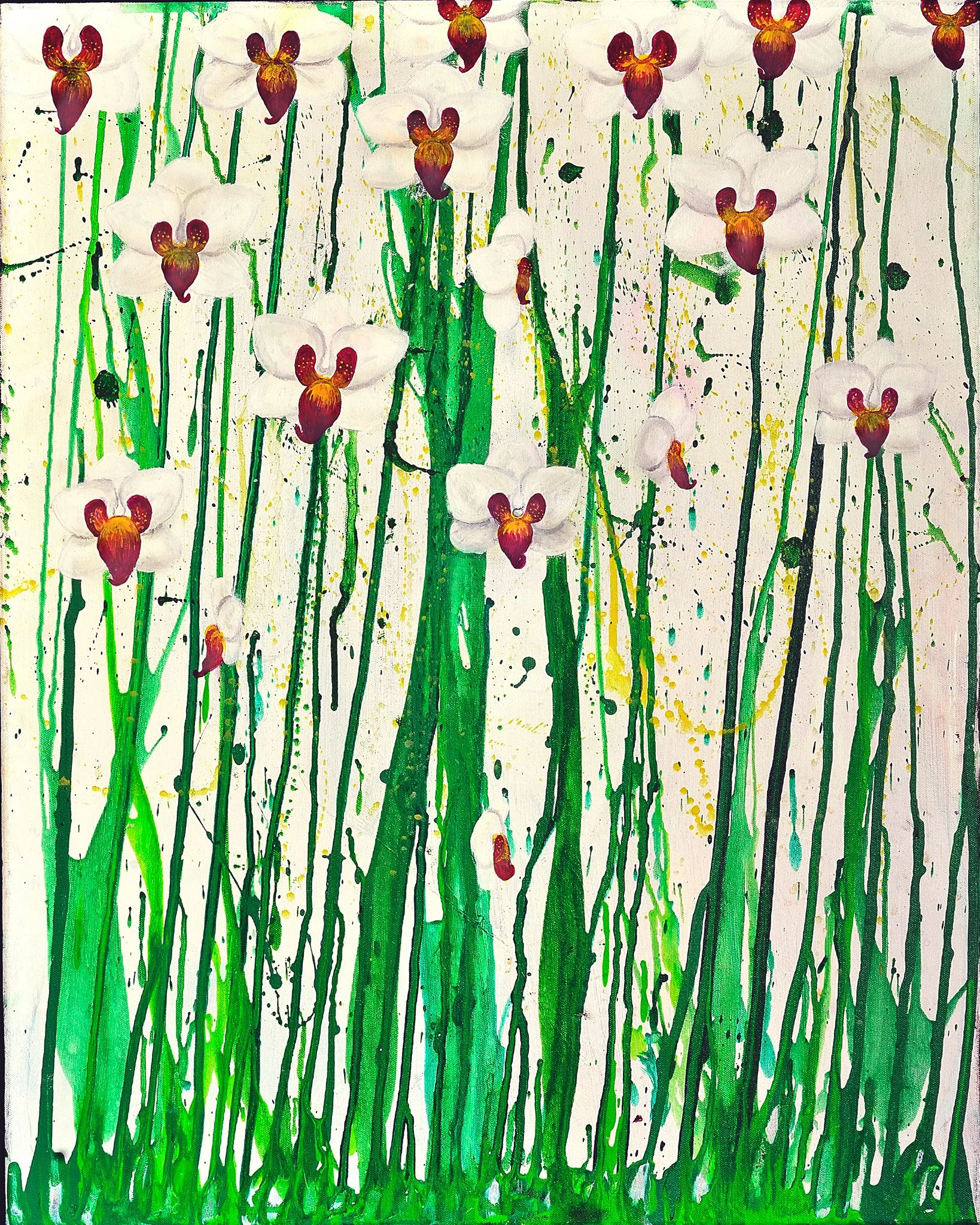 Green Orchids