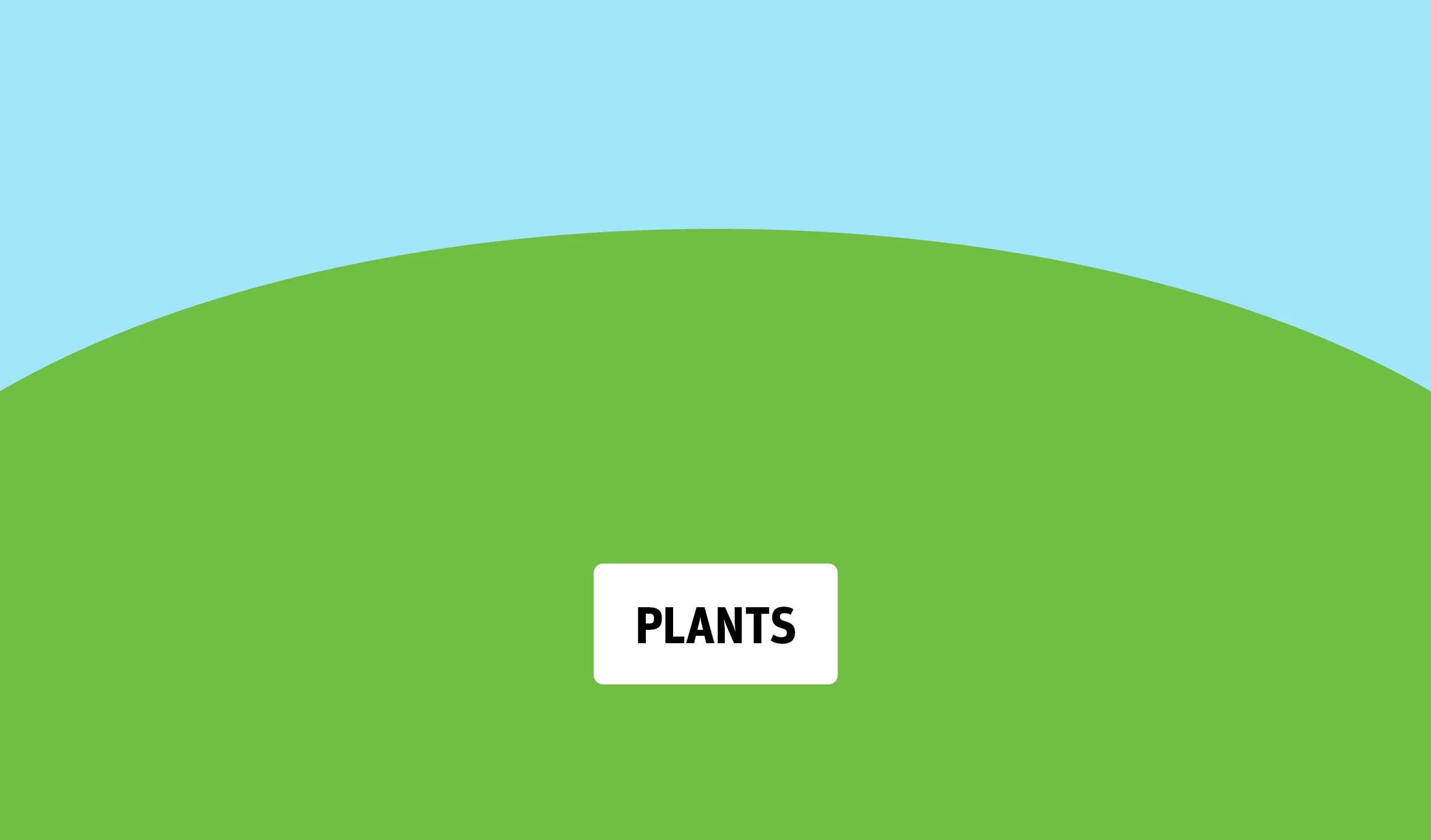 Plants example-01.jpg