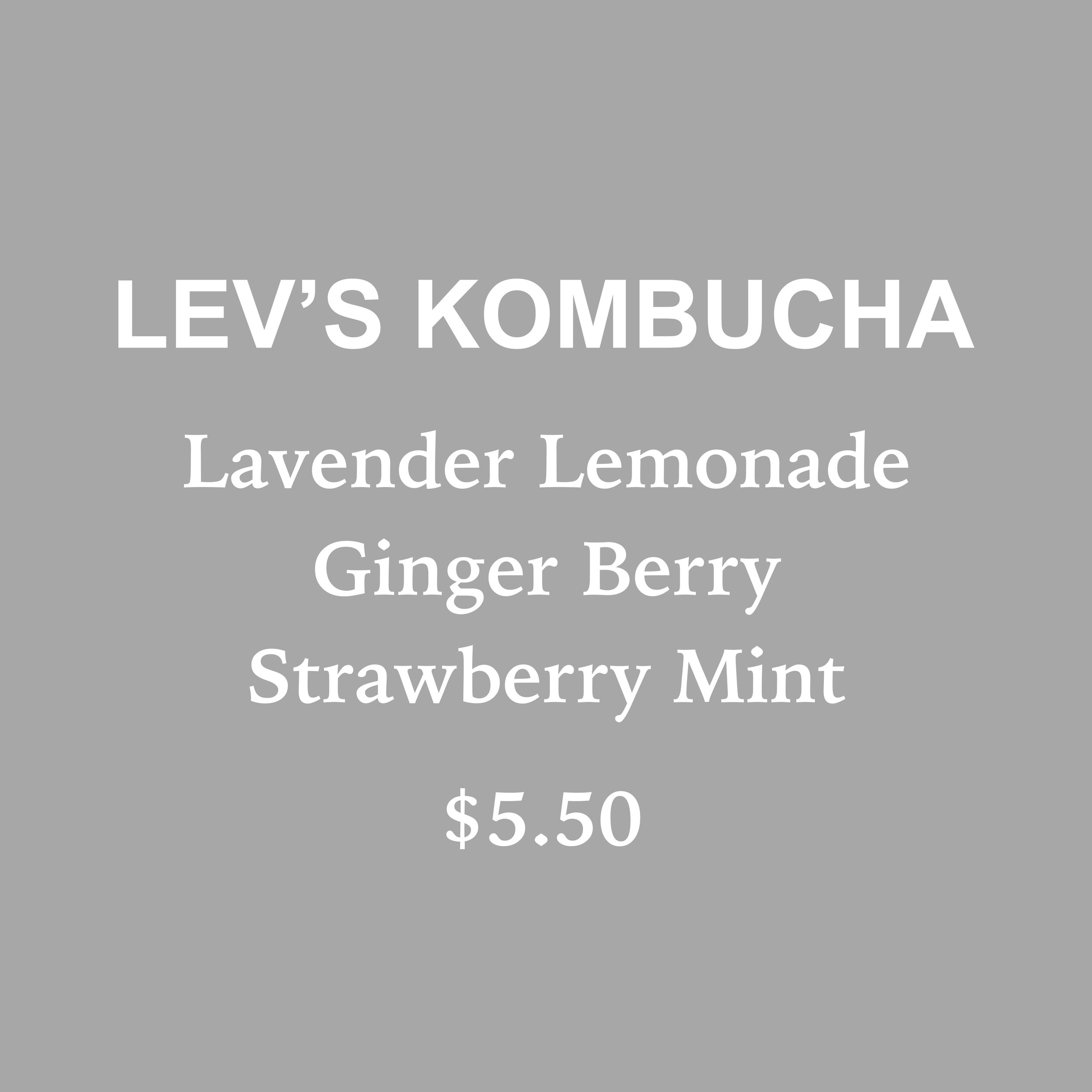 mhbb lev's kombucha.jpg