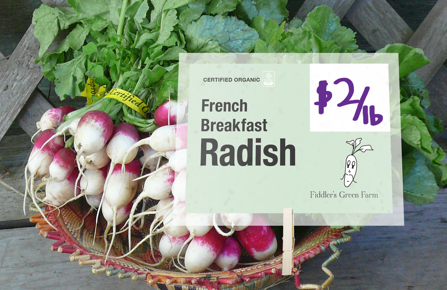 radish mockup basket.png