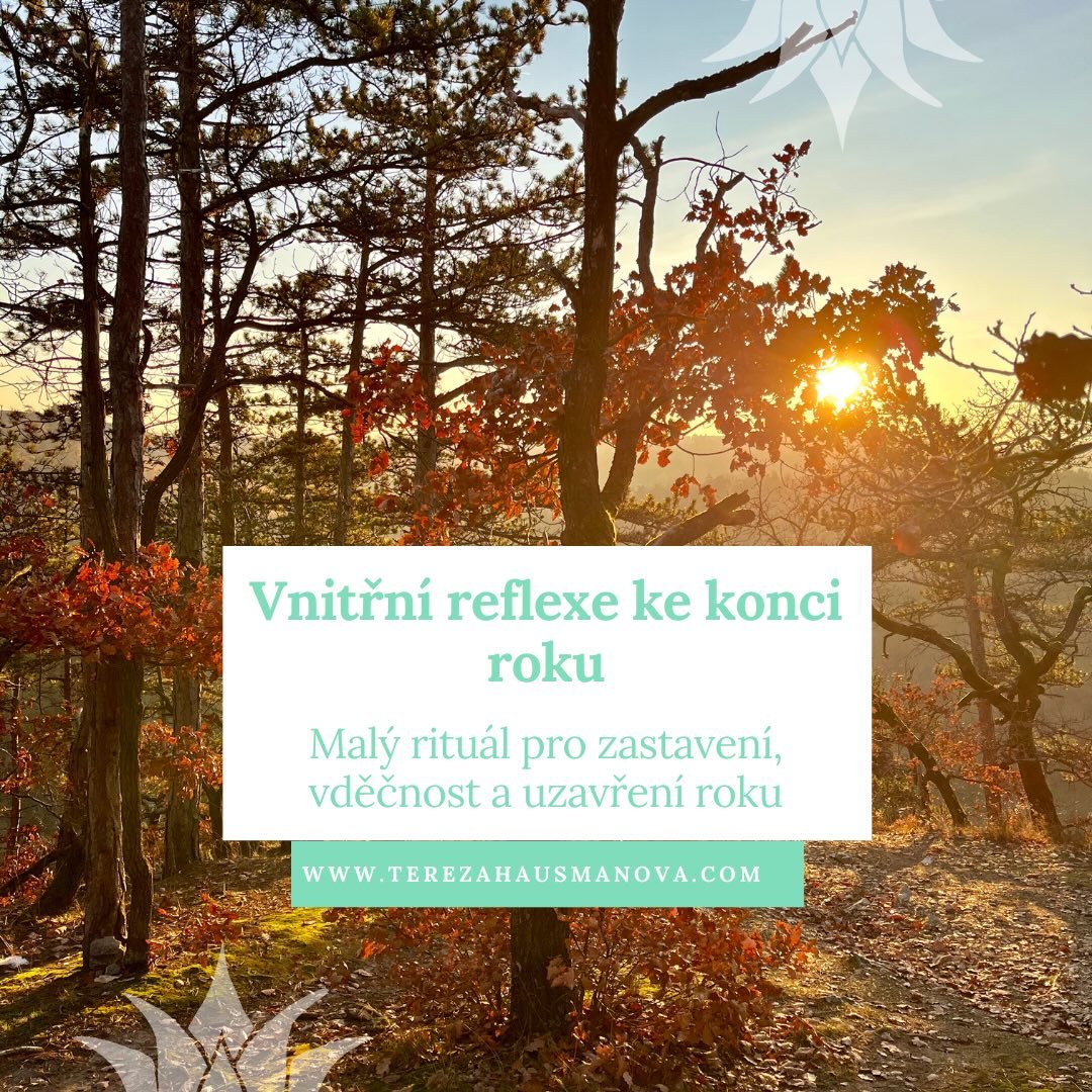 🌙🕯️Před p&aacute;r dny byl zimn&iacute; slunovrat, V&aacute;noce za n&aacute;mi a m&aacute;me tu ofici&aacute;lně zimu. Čas na to se zachumlat s &scaron;&aacute;lkem čaje, zpomalit, v&iacute;c sp&aacute;t a odpoč&iacute;vat, reflektovat nad uplynul