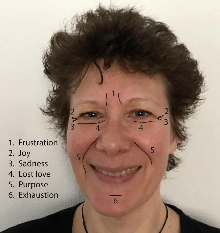 3 dagars intensiv kurs Face Reading I Stockholm