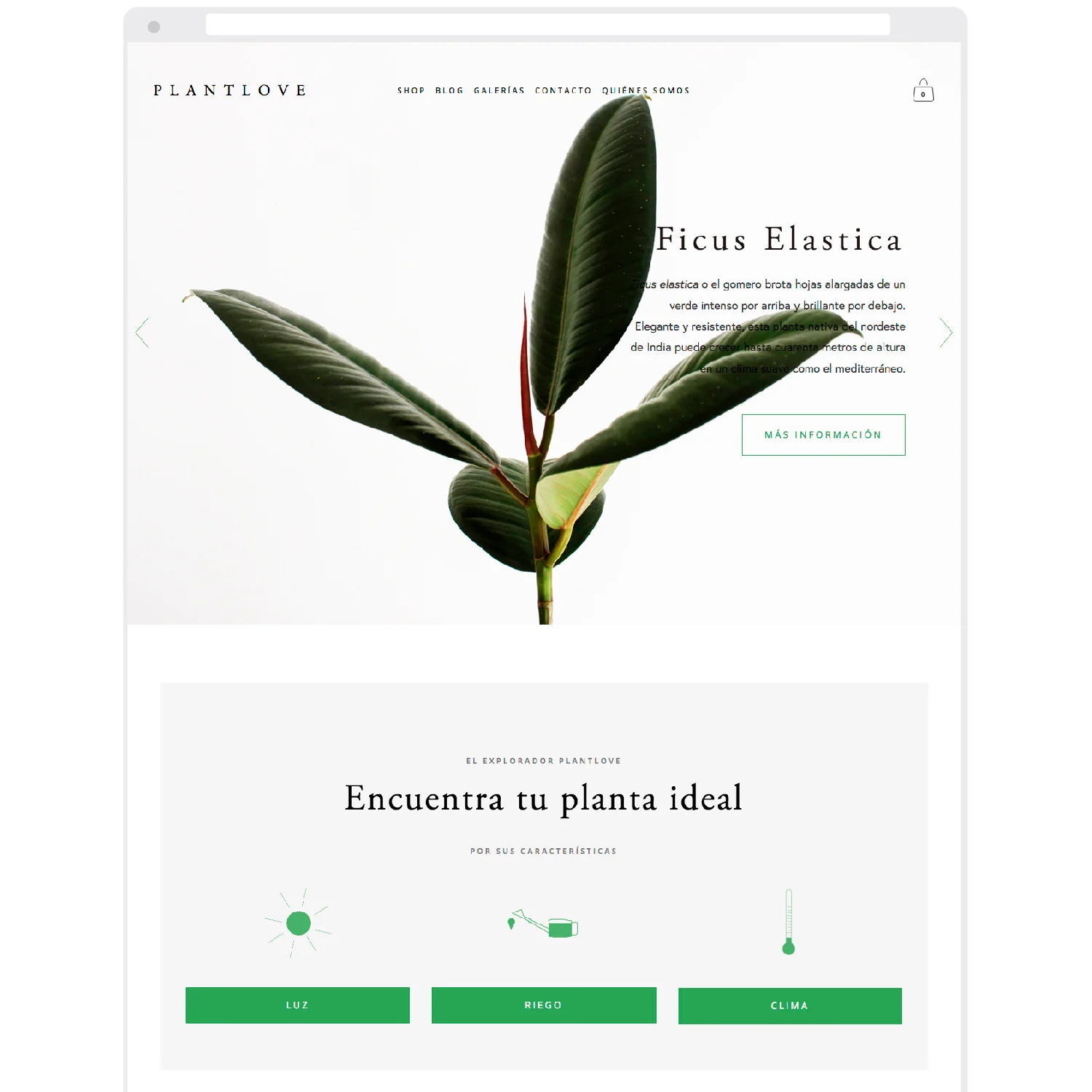 PlantloveShowcase_altimg.jpg