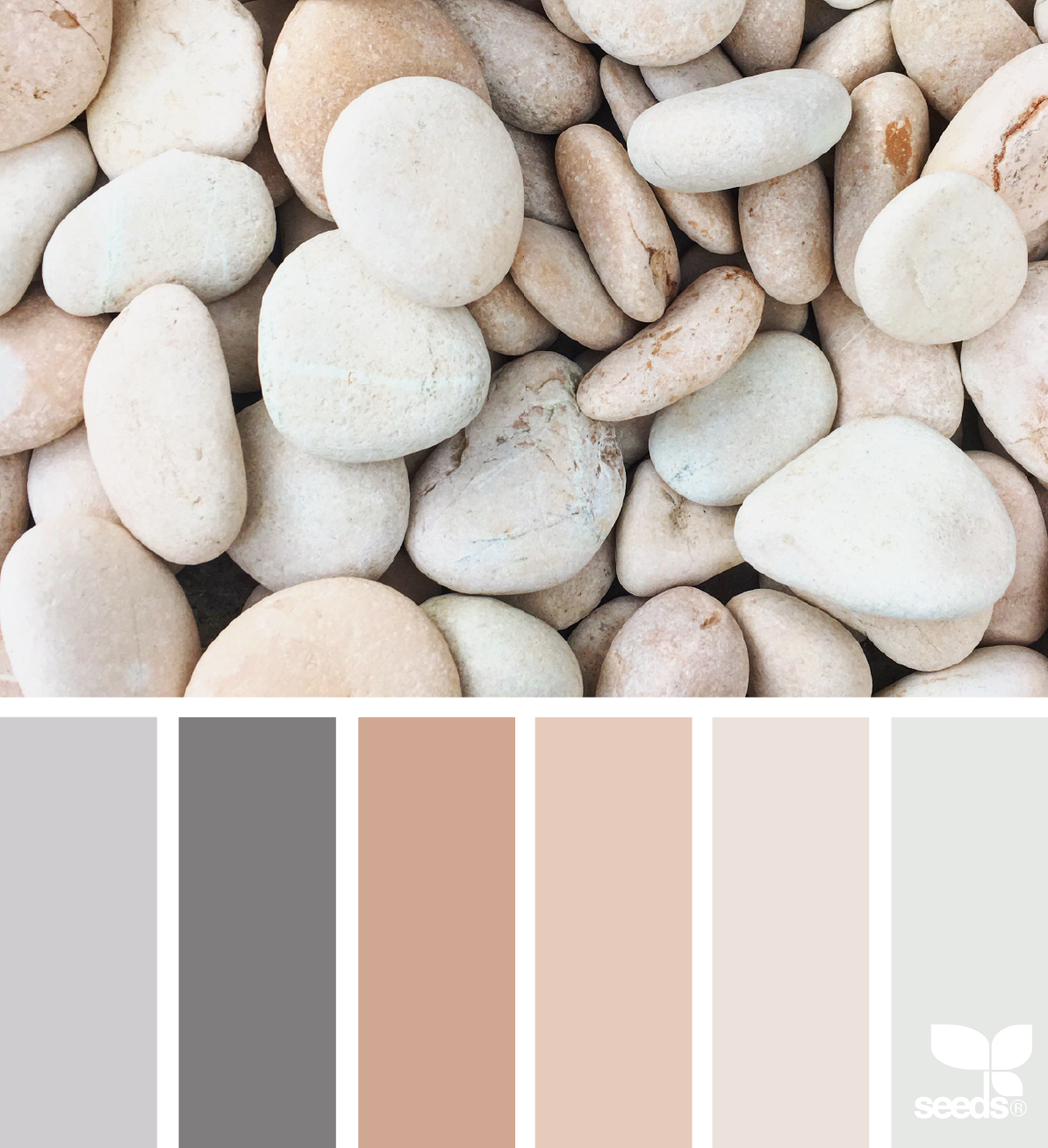 3 maneras de crear una paleta de color para tu página web - PLETÓRICA DESIGNS