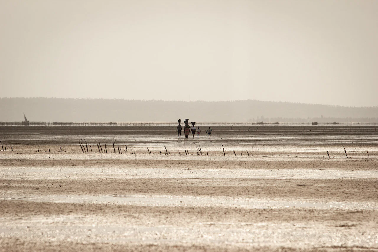 ESTUARY2.jpg