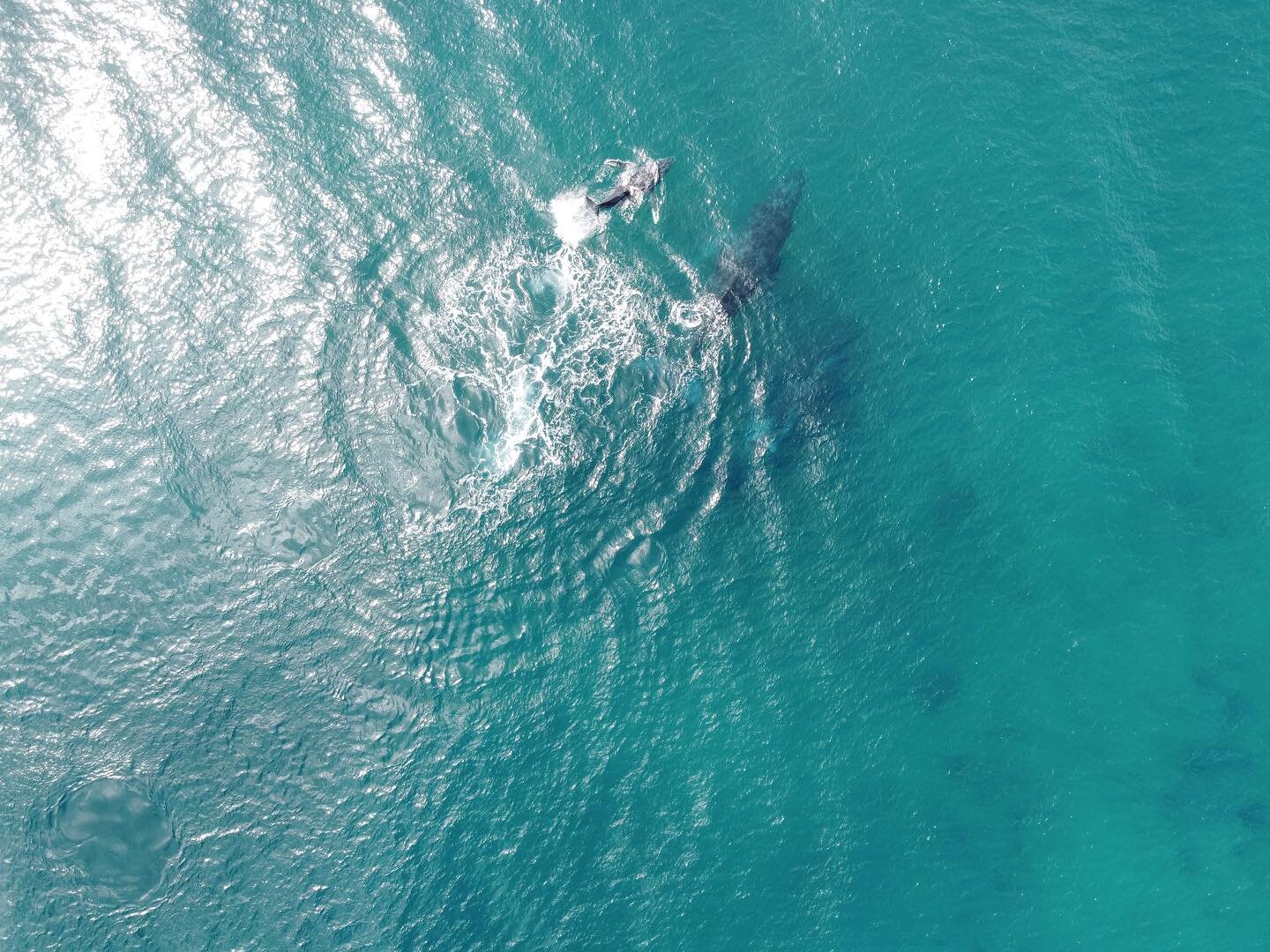 The ocean is calling you🐚🌊☀️🤿
.
.
.
.
.
#indianocean #oceaniscalling #sealovers #tofo #mozambique🇲🇿 #visitmozambique #diveresort #tofodiving #divingmozambique #oceanview #seaview #beachresort #beachlife #sunshine