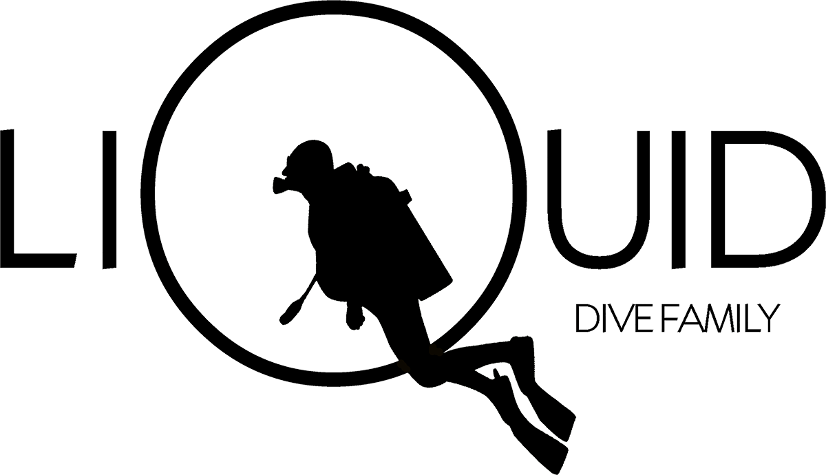 Liquid Dive Adventures Scuba Dive Resort · Tofo Mozambique