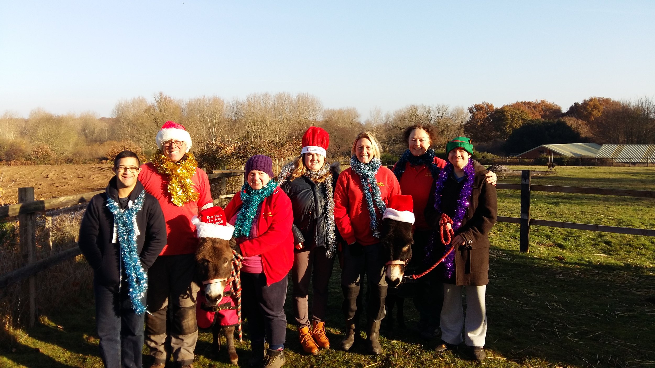 Farm Christmas