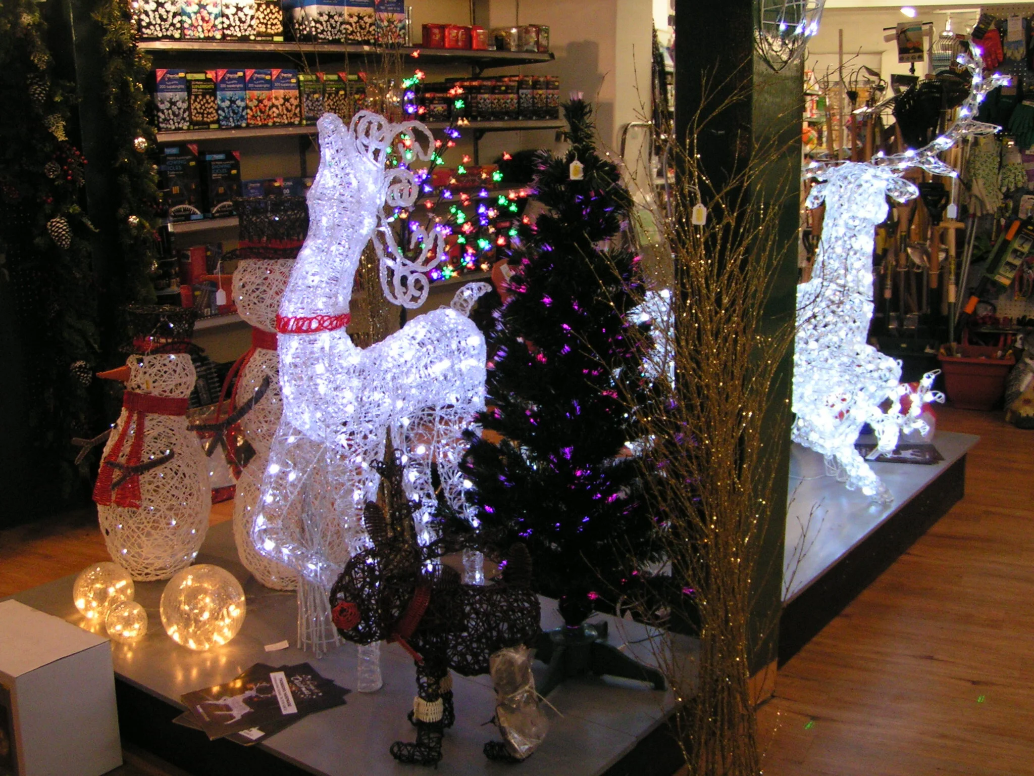 Christmas lights - lots to choose from!
