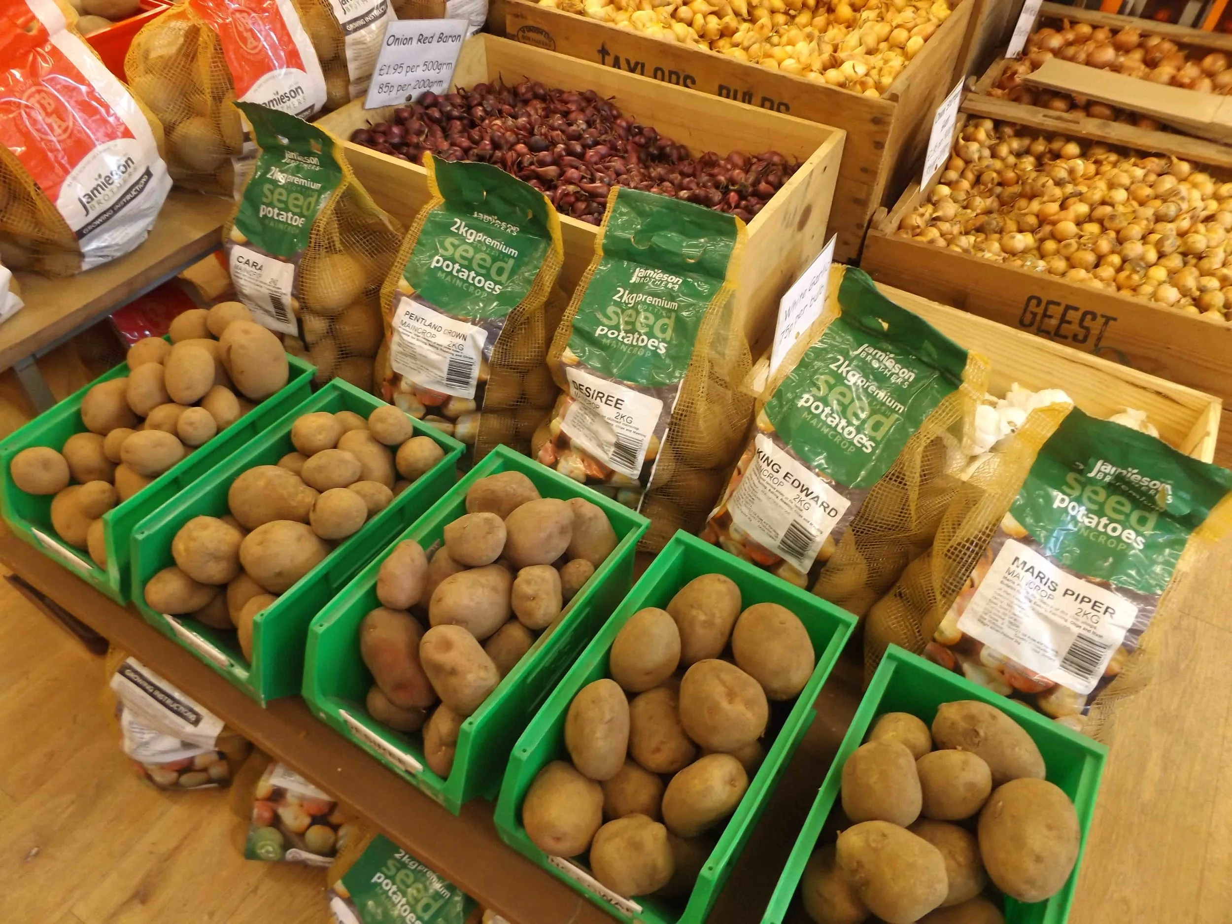 Seed potatoes and onion sets, in stock now