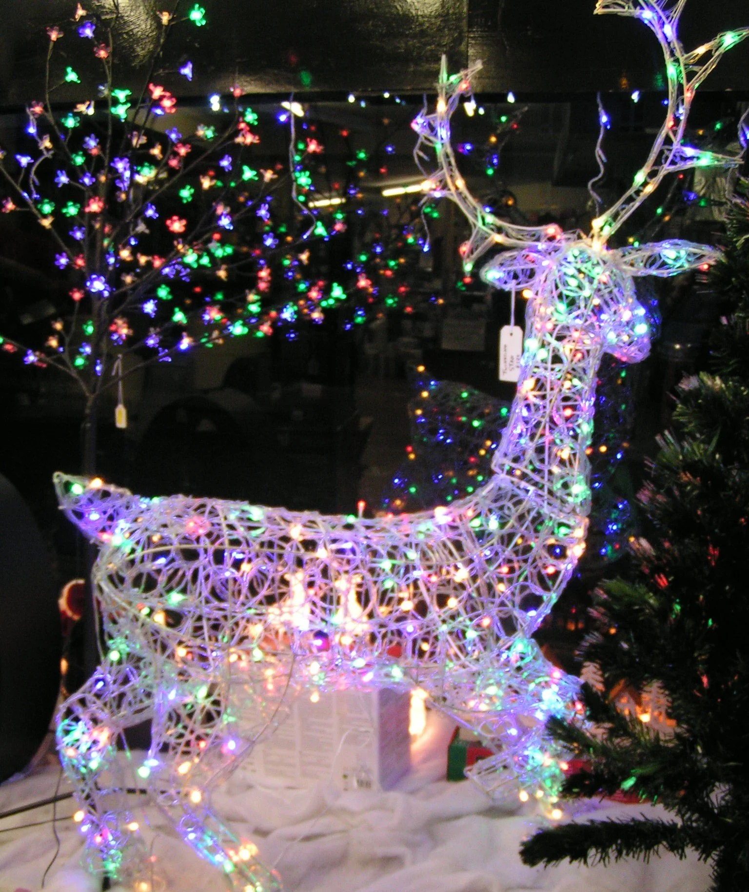 Lots of Christmas lights to choose from!