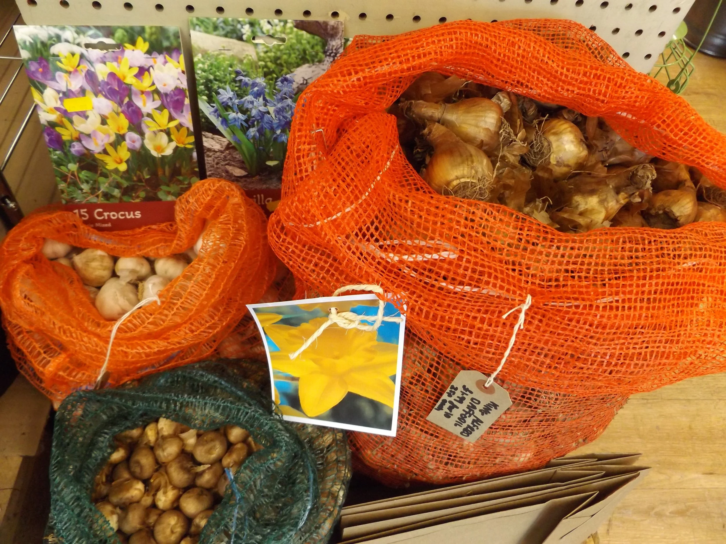 Autumn bulbs are in stock now, all ready for autumn planting!