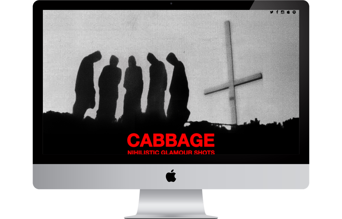 nextspace_cabbage.jpg