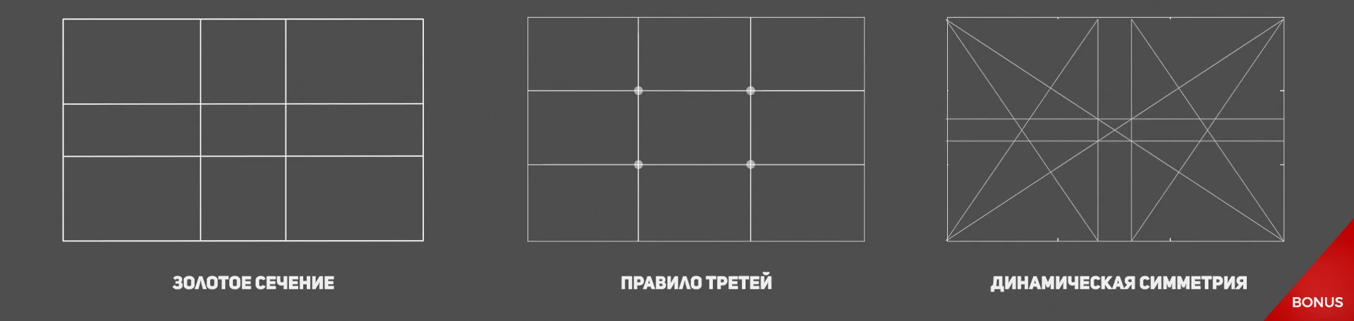 bonus19.jpg