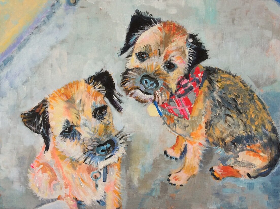 Border Terriers (Commission)