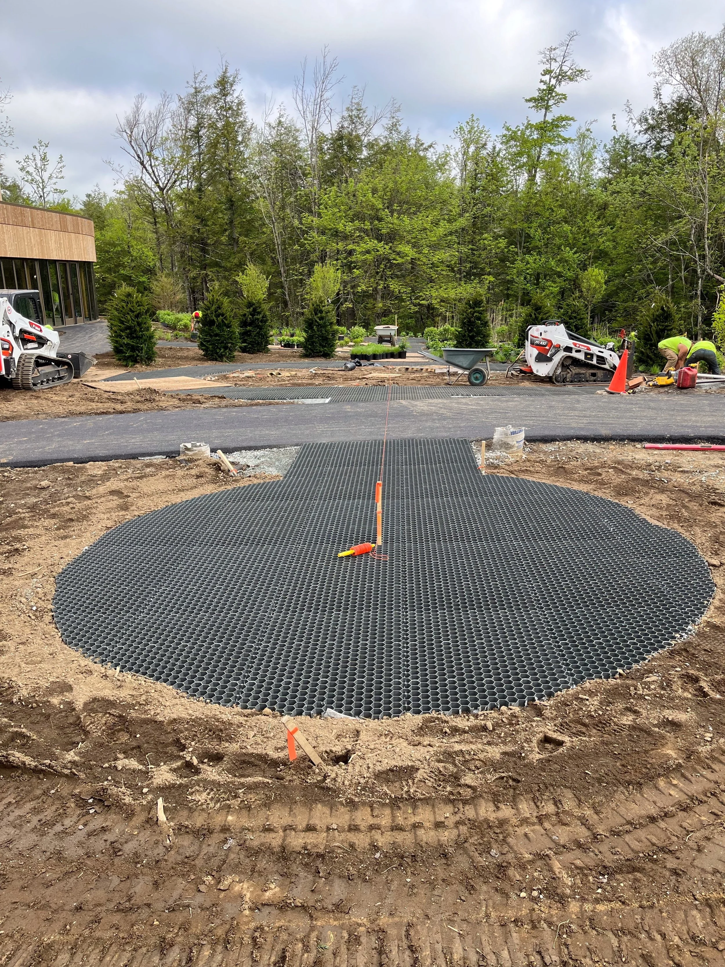 5-16-2025 CORE Install plants 7 After trim.jpg