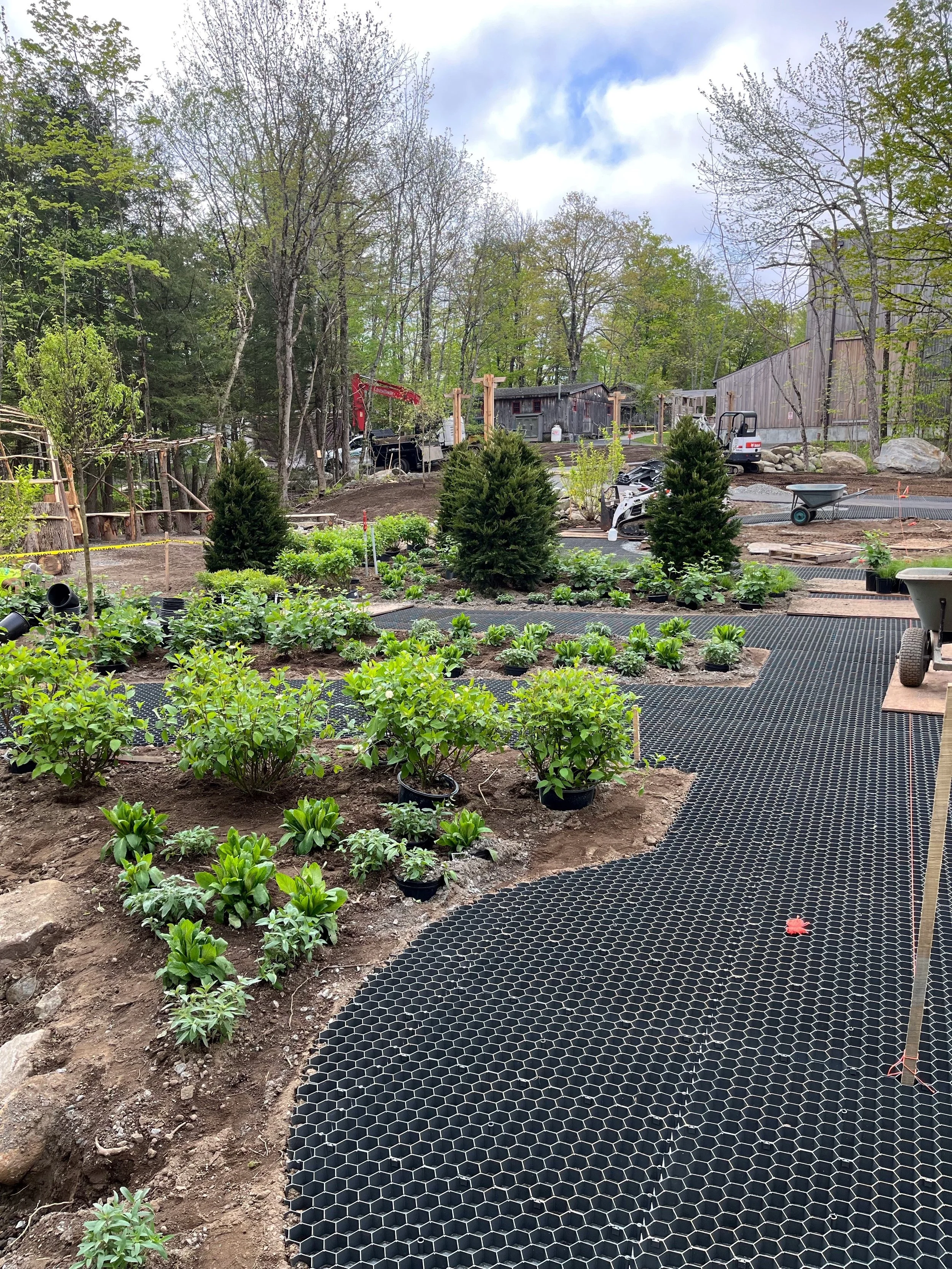 5-16-2025 CORE Install plants 1 After trim.jpg