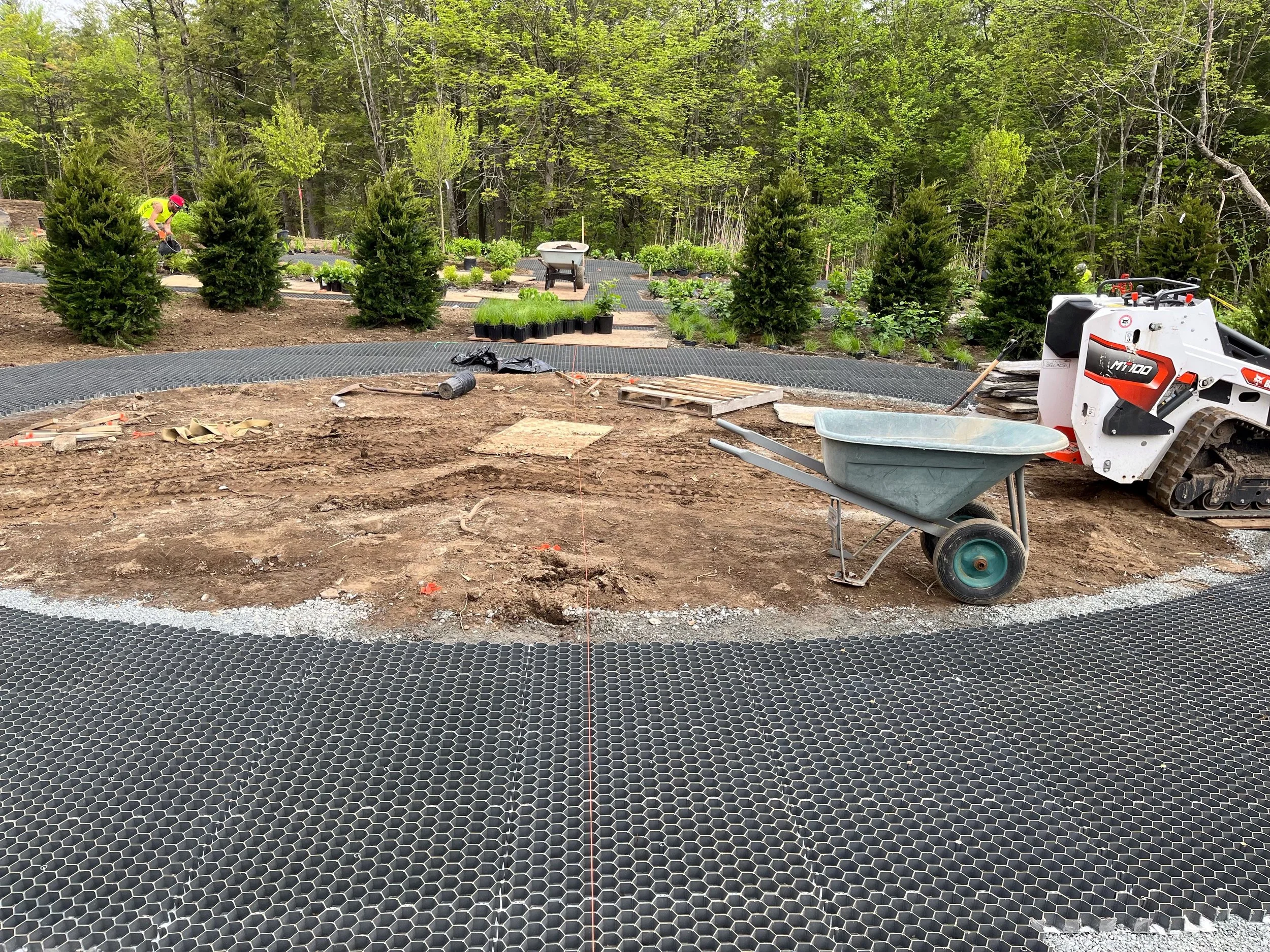 5-16-2025 CORE Install plants 6 After trim.jpg