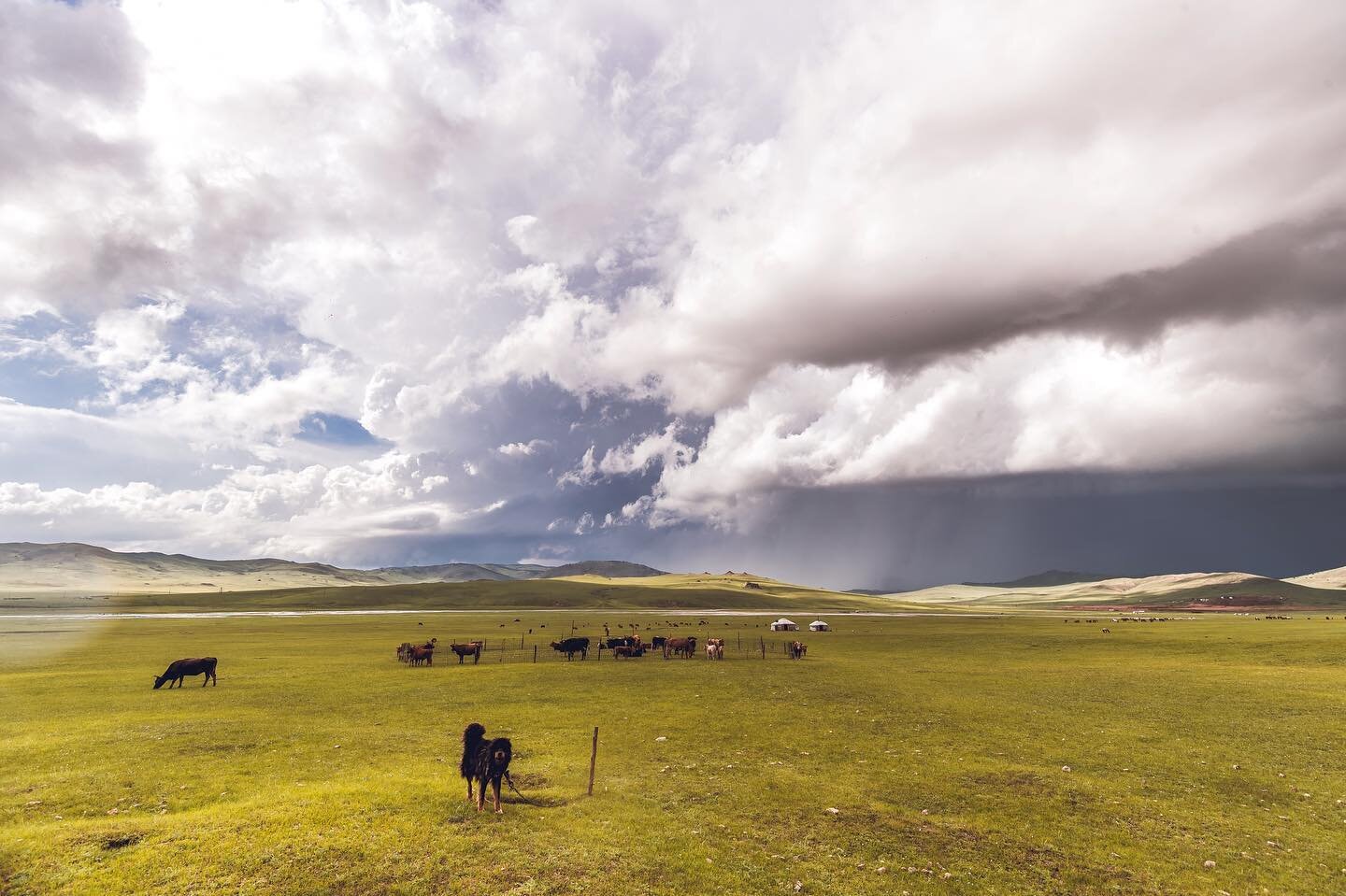 At first glance you may consider this a boring image. But once you start to look closer, you will soon begin to realise that this is Mongolia summed up in a moment. The vast open Steppe. Gorgeous blue skies, raging storms. A savage snarling, barking 