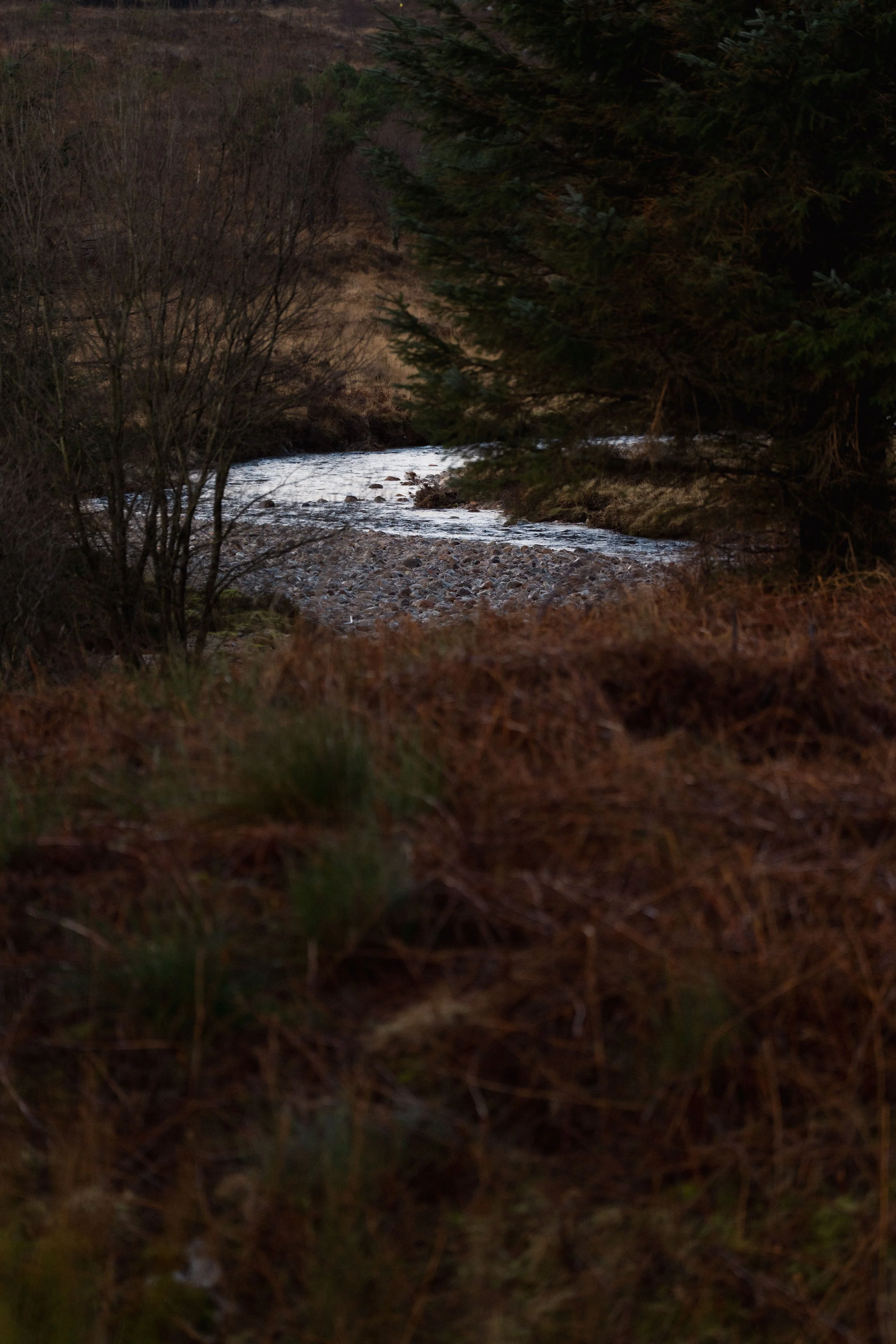 NJF09445.jpg