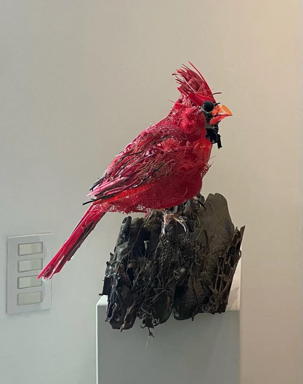 Works Available — Bernice Steinbaum Gallery