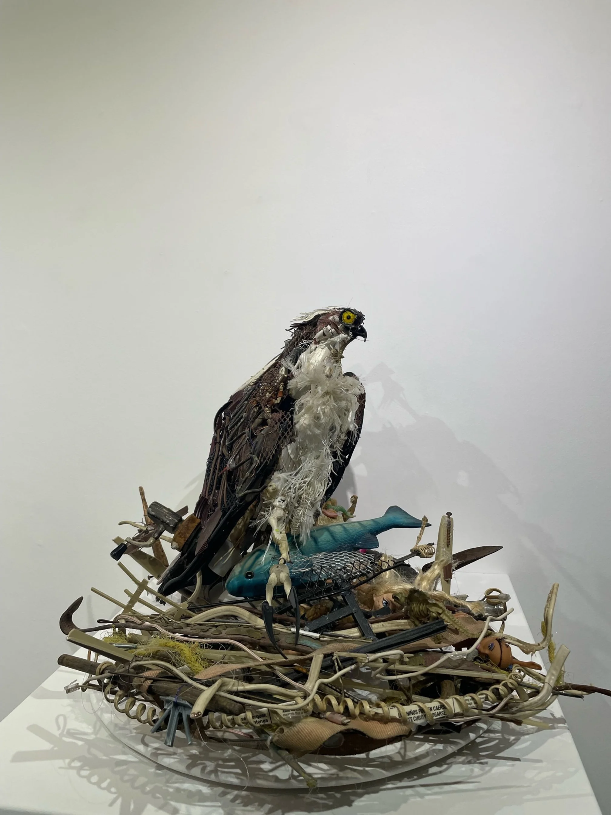 Works Available — Bernice Steinbaum Gallery