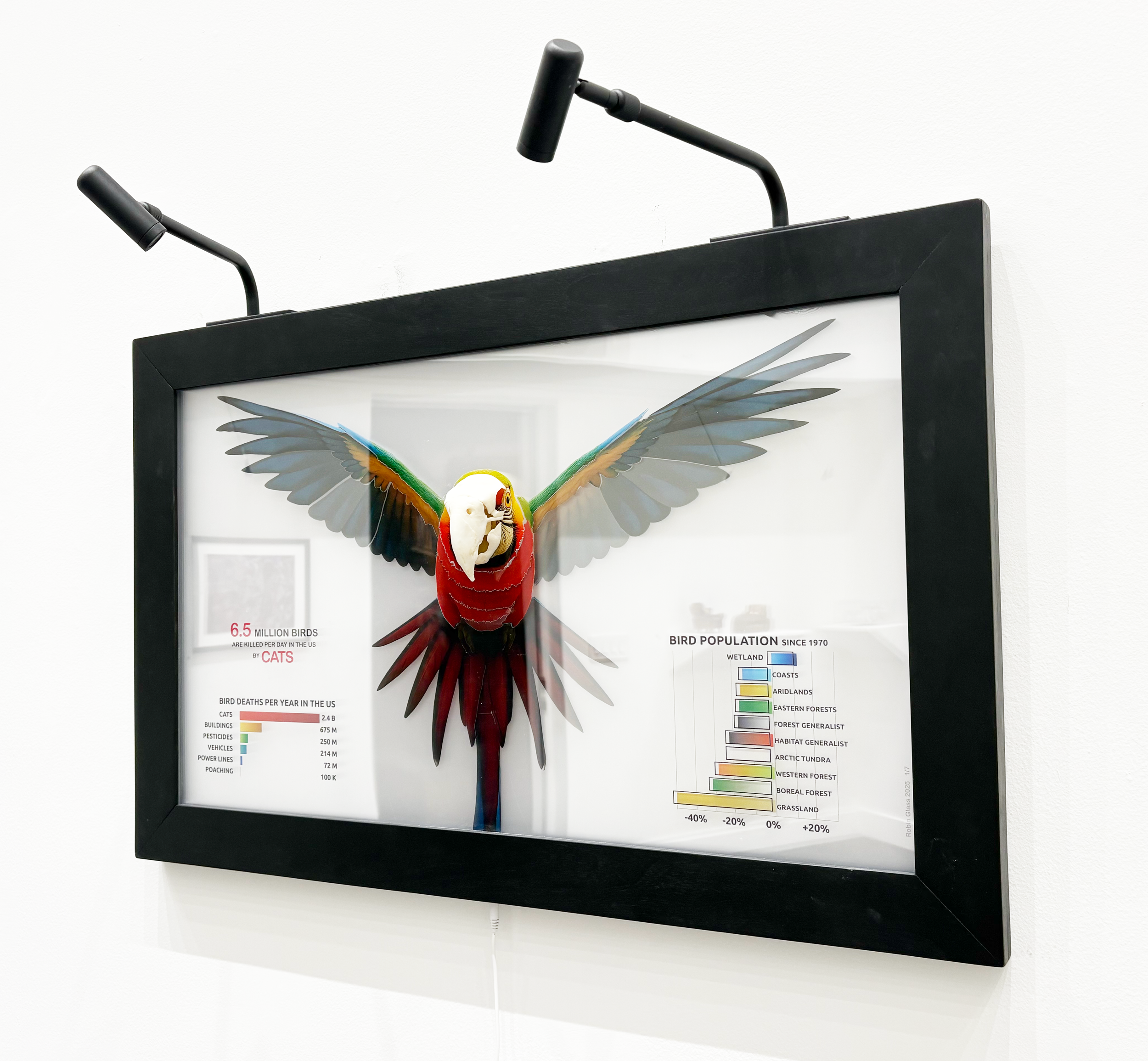  Birds   Robin Glass   36 in x 24 in   Digital print on acrylic, resin, and wood frame&nbsp; 