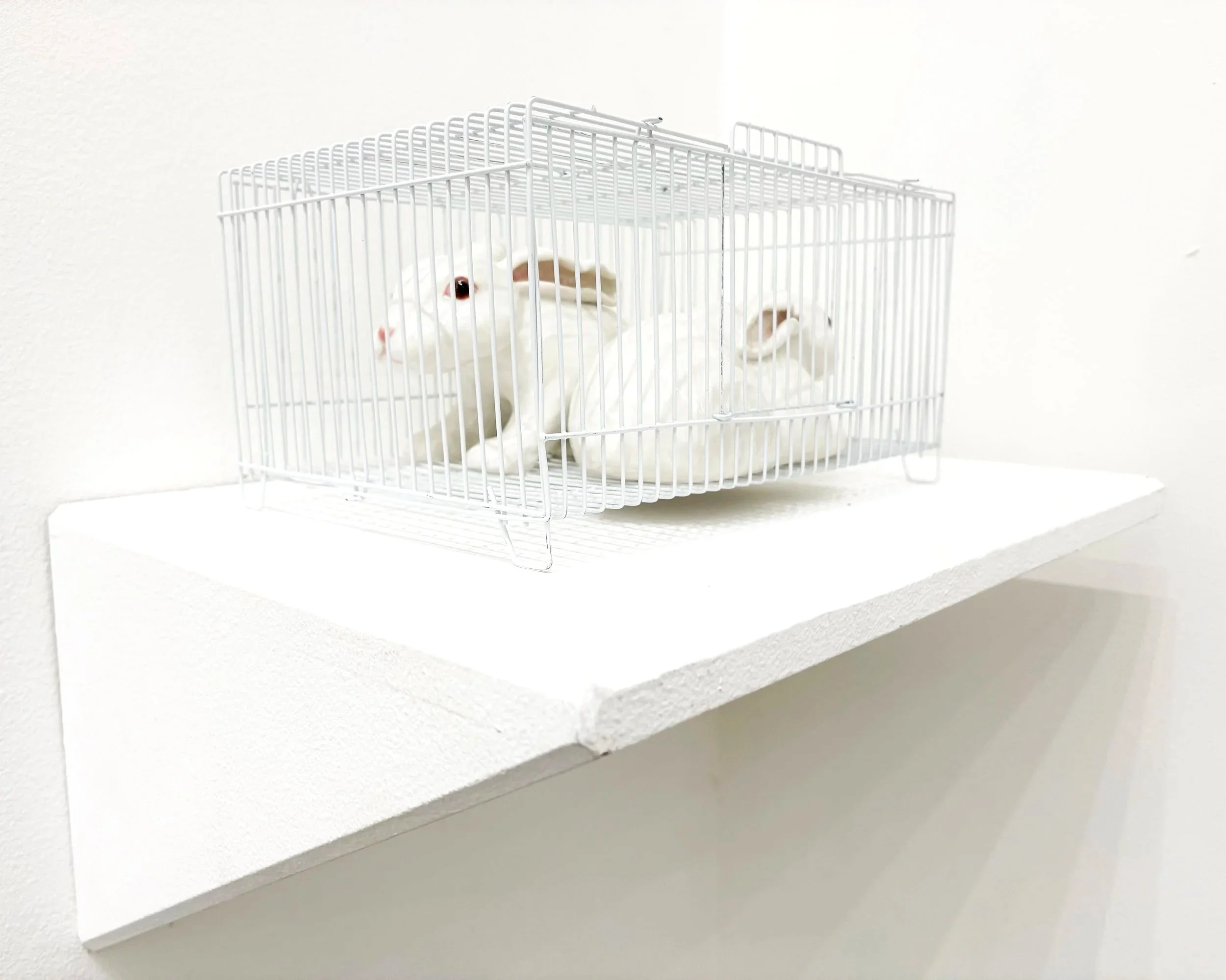  two rabbits in a cage (Ngawa in June)  Catherine Yang  11 in x 7.25 in x 5.5 in  Ceramic, glaze and metal cage 