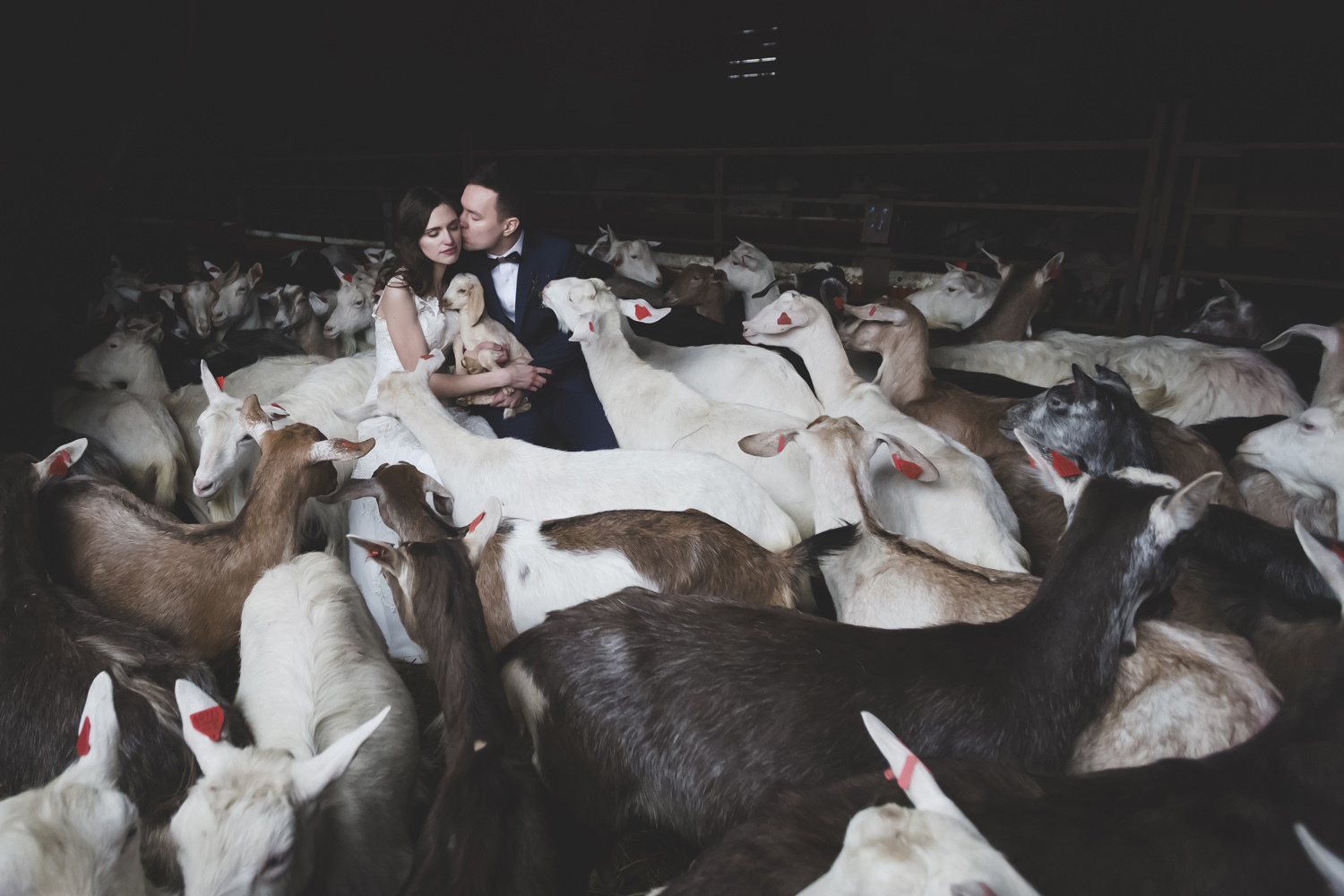 Funny Wedding photo by wedding photographer Valdur Rosenvald