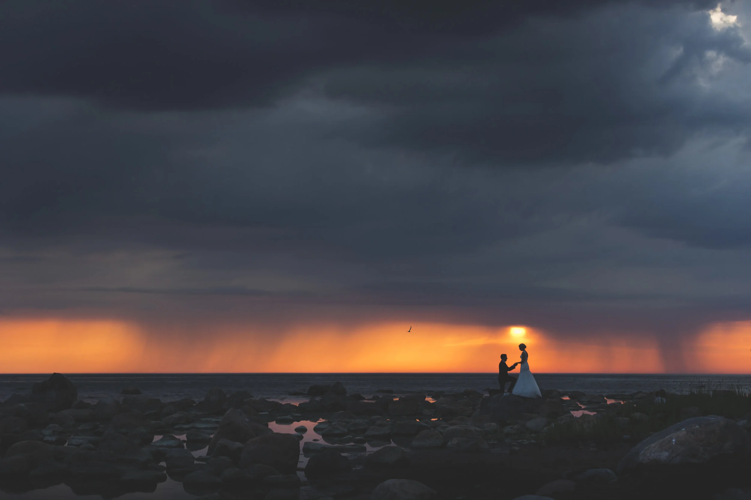 "He is truly world-class"