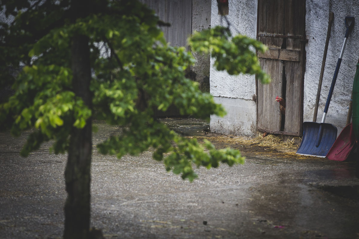 austria-wedding-photographer-002-wedding-photographer-Valdur-Rosenvald.jpg