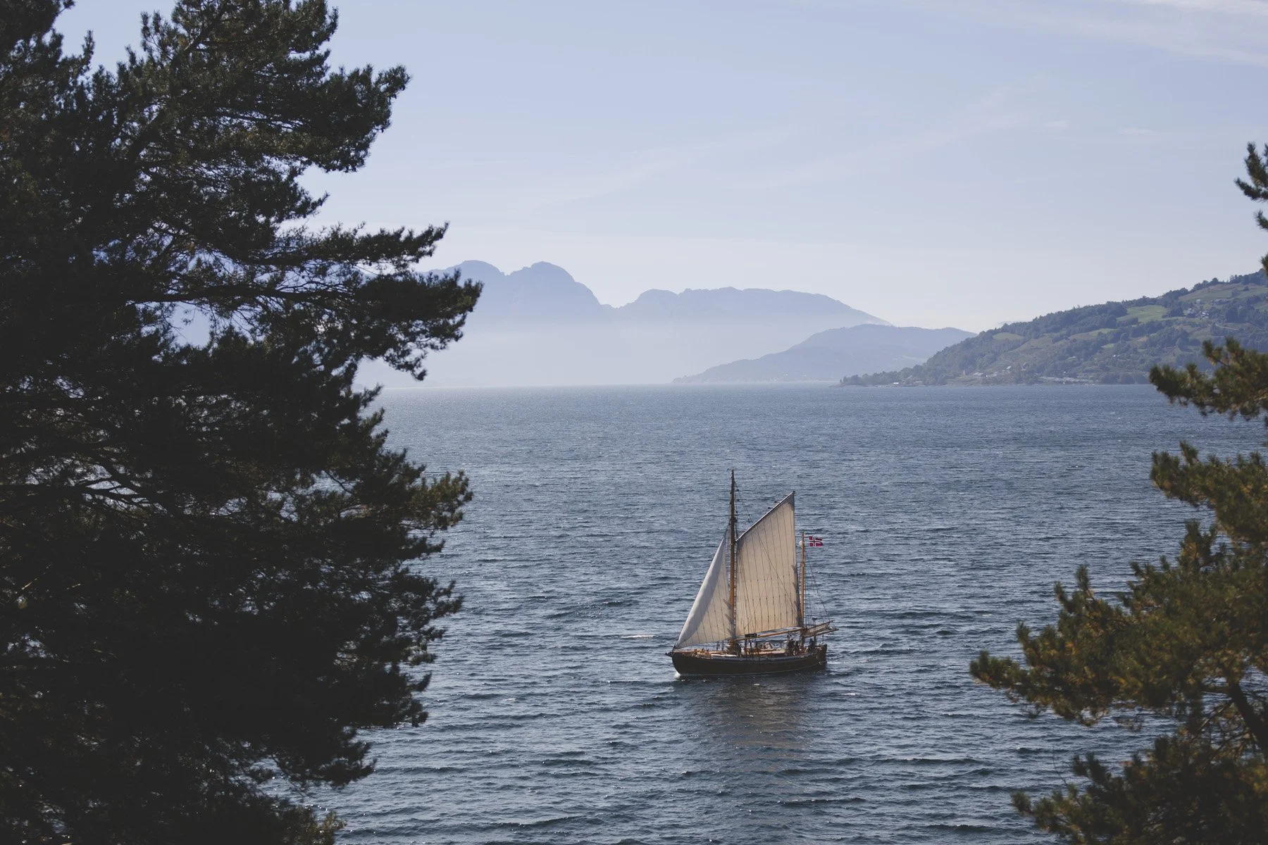 parim-pulmafotograaf-valdur-rosenvald-009.jpg