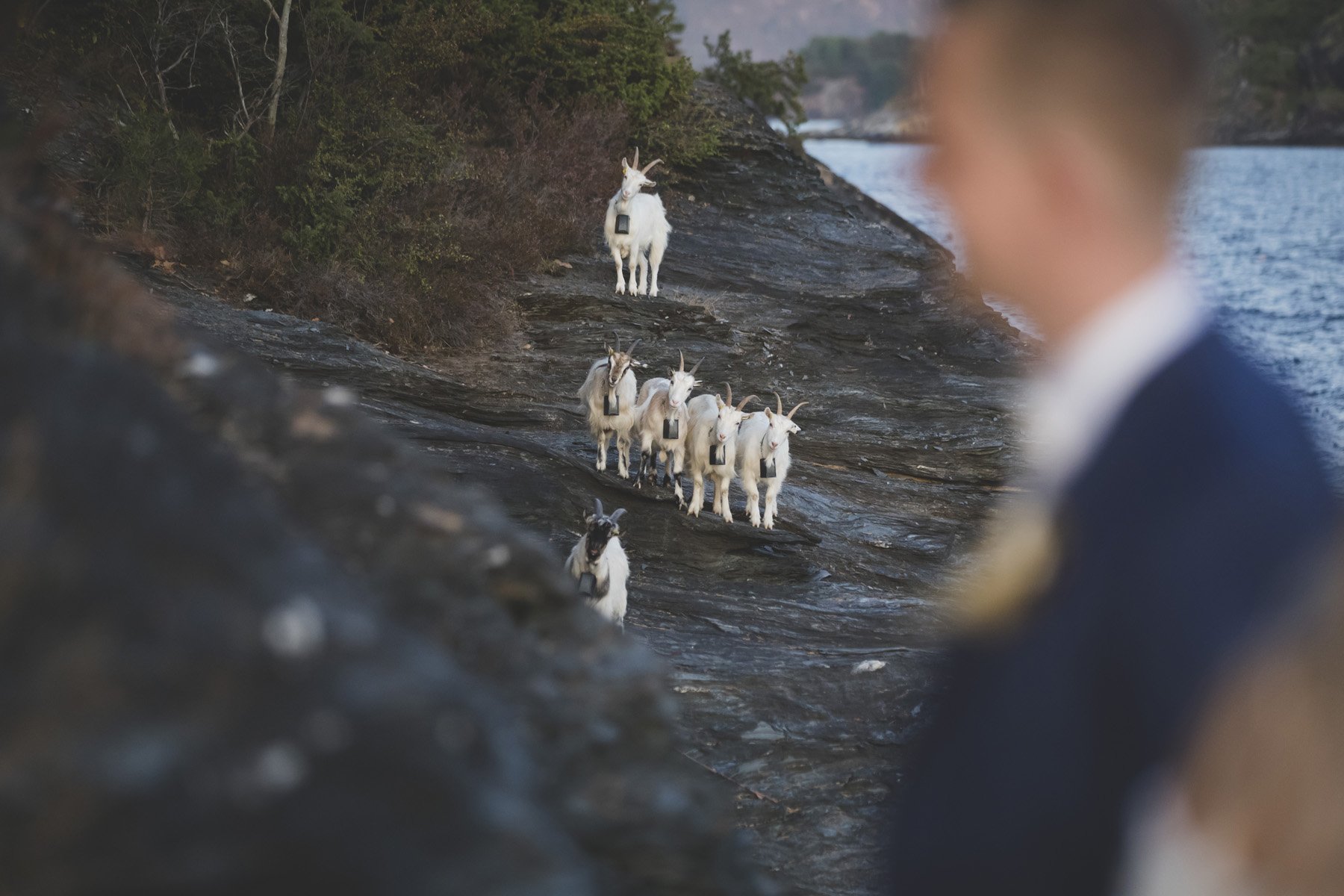 best-wedding-photographer-in-estonia-valdur-rosenvald-136.jpg