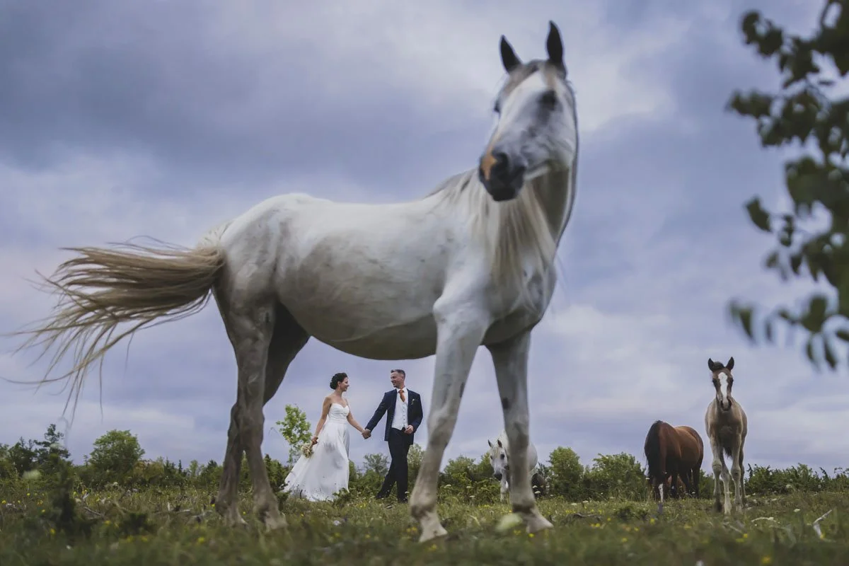 best-wedding-photographer-155-valdur-rosenvald-wedding-photographer-in-tallinn.jpg