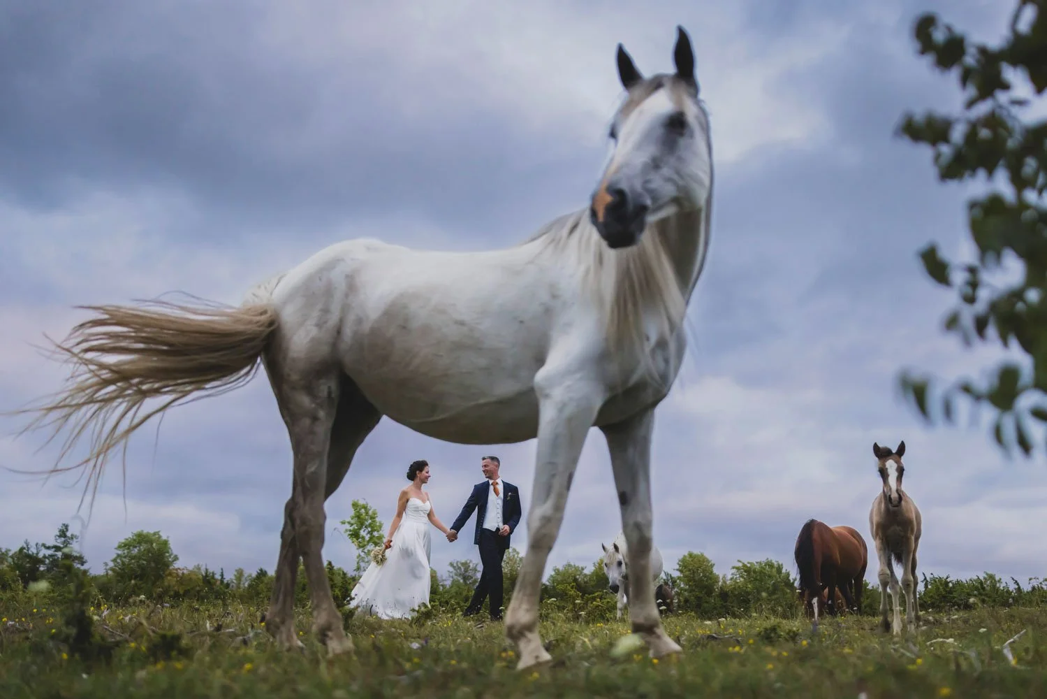 parim-pulmafotograaf-valdur-rosenvald-136-best-wedding-photographer-in-estonia.jpg