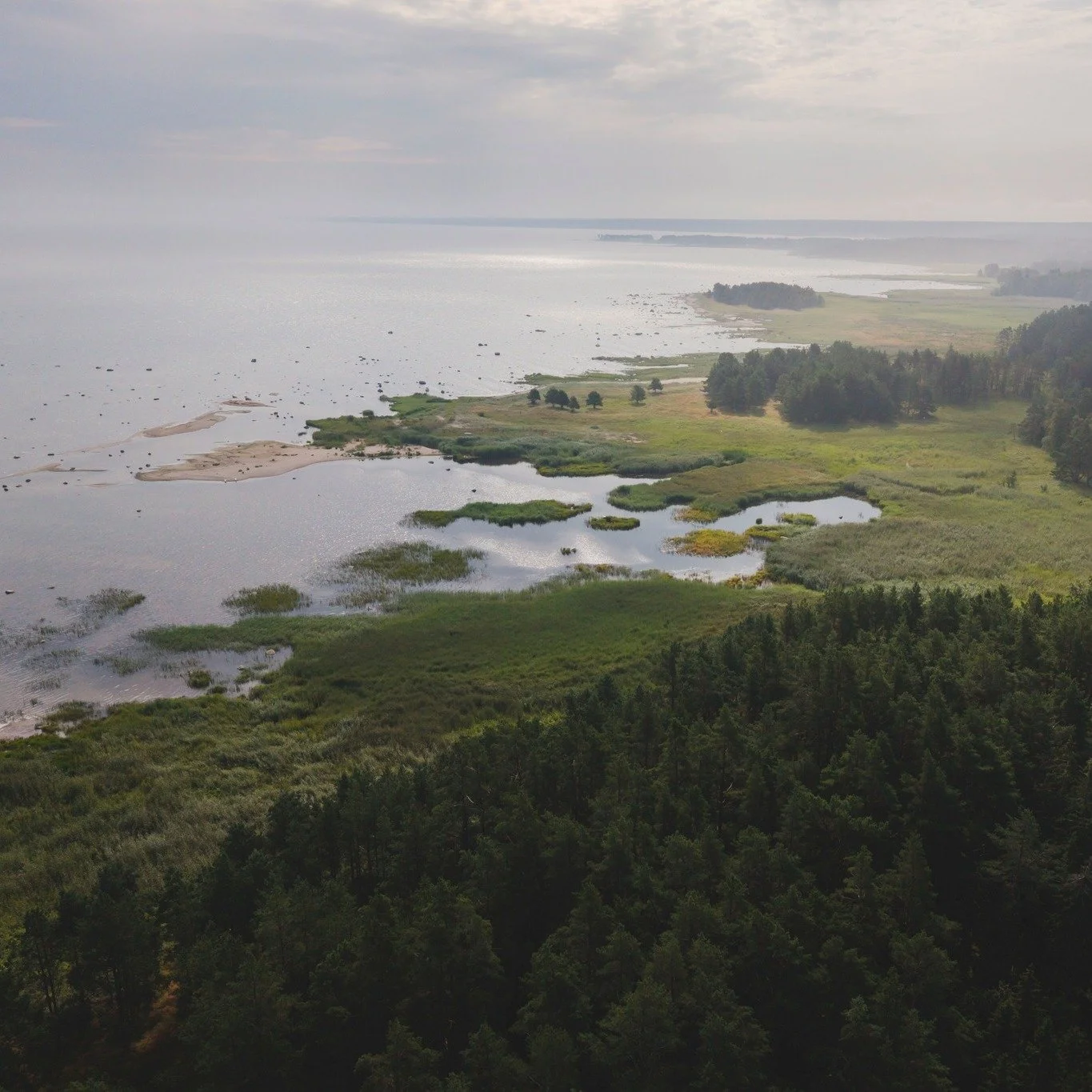 Mulle v&auml;ga meeldib, kui pulmad toimuvad isikliku t&auml;hendusega kohas nagu Liisil ja Jakobil.. M&otilde;nus hipsterlik kodukoha vibe 👏🏻

#rosenvaldphotography #weddinginspiration #weddingstory #realweddings #europeweddingphotographer #canon_