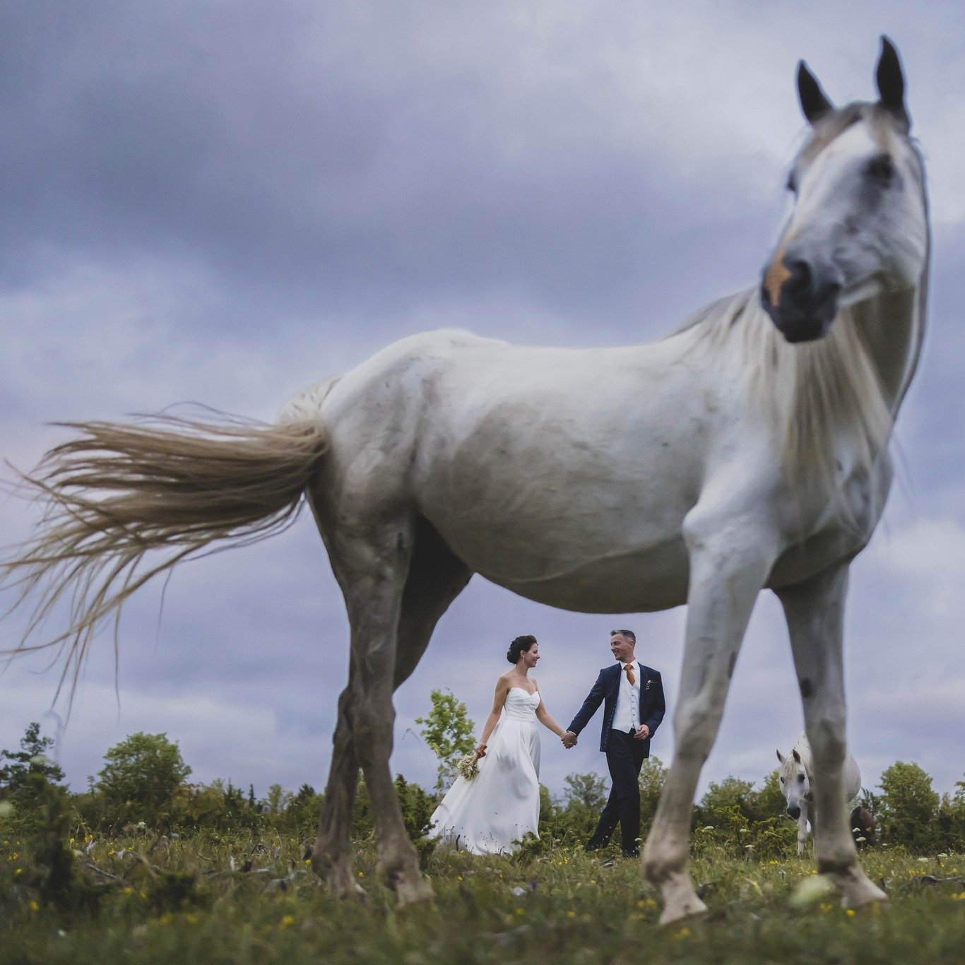 &quot;Kuus aastat tagasi, keset muusikavideo v&otilde;tteplatsi melu ja loomingut, meie teed p&otilde;imusid. Juba esimestest hetkedest alates oli &otilde;hus tunda midagi erilist - vestlus meie vahel voolas pingevabalt, klappisime paremini kui kaks 