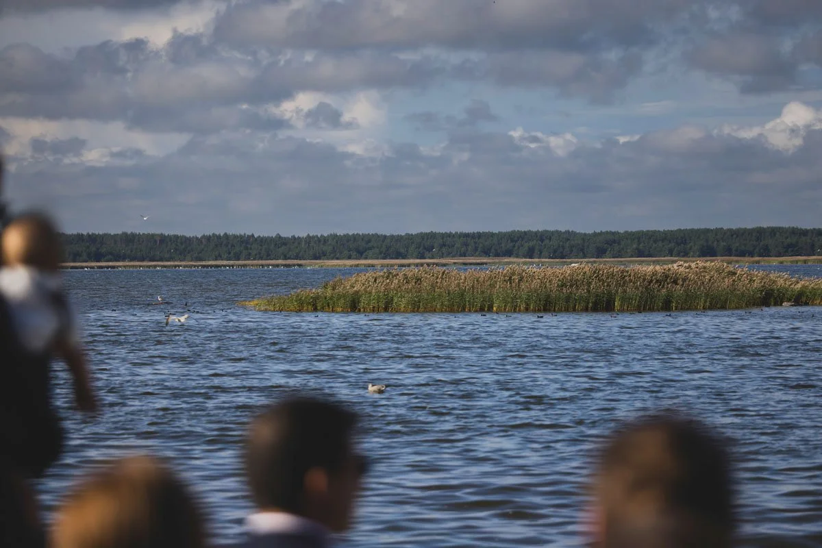 Wedding photos-058-wedding-photographer-valdur-rosenvald- wedding photographer in Estonia.jpg