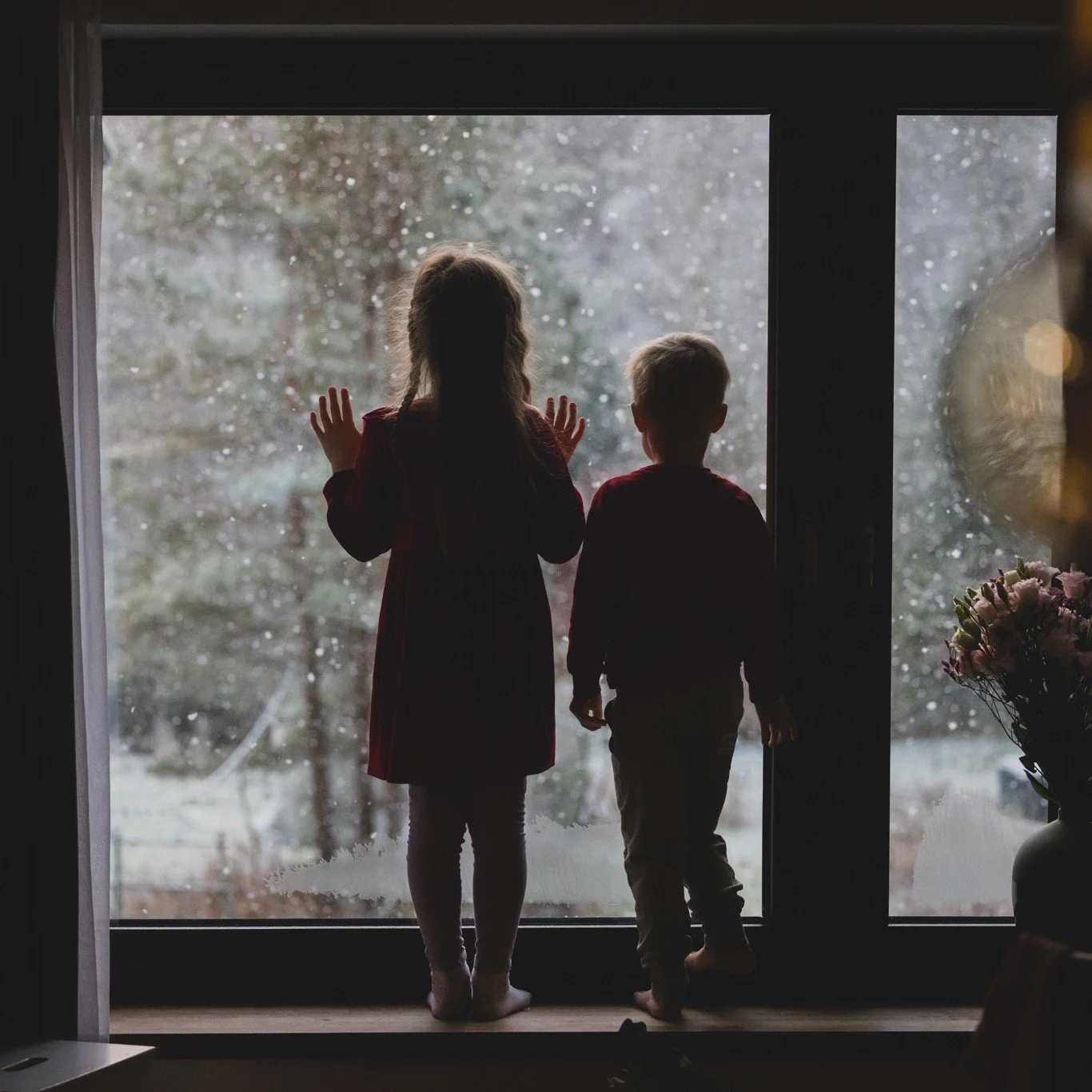 Lapsed nautimast esimest lund... ❄️

Korralik id&uuml;ll 🤩

#rosenvaldphotography #family #personal #weddingphotography #canon_photos #estonia #estonianwedding