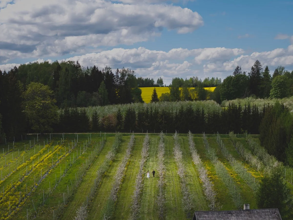 Pulmafotod-069-pulmafotograaf-valdur-rosenvald-pulmad kevadel.jpg