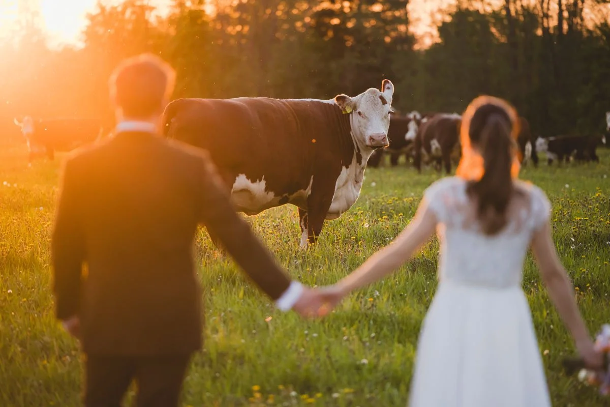 Pulmafotod-252-pulmafotograaf-valdur-rosenvald-unistuste pulmad.jpg