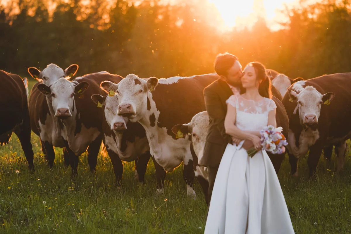 Pulmafotod-255-pulmafotograaf-valdur-rosenvald-unistuste pulmad.jpg